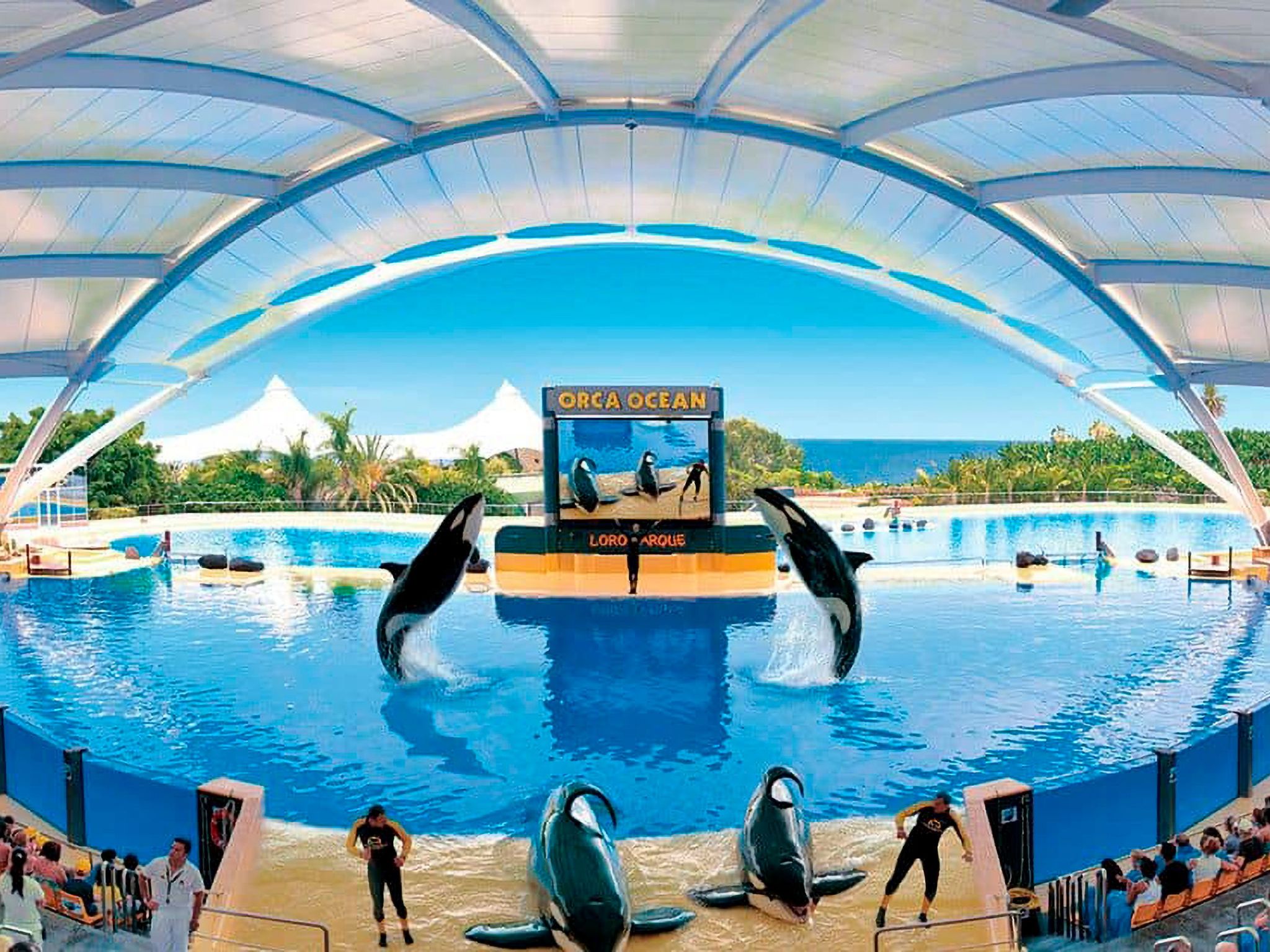 Wohnung "Albatros 406B" mit Wasserblick-Image-tags.info