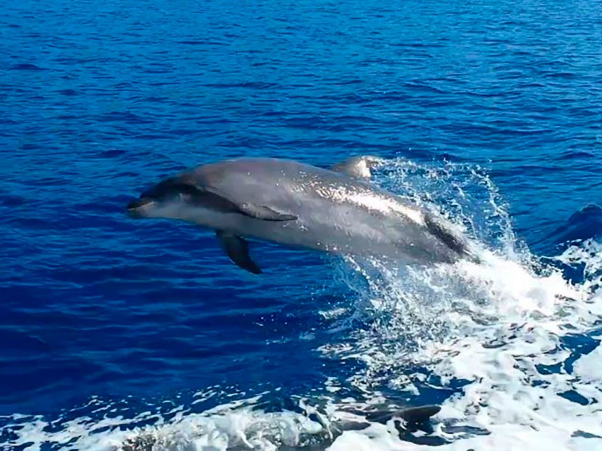 Studio mit beheiztem Pool-Image-tags.info