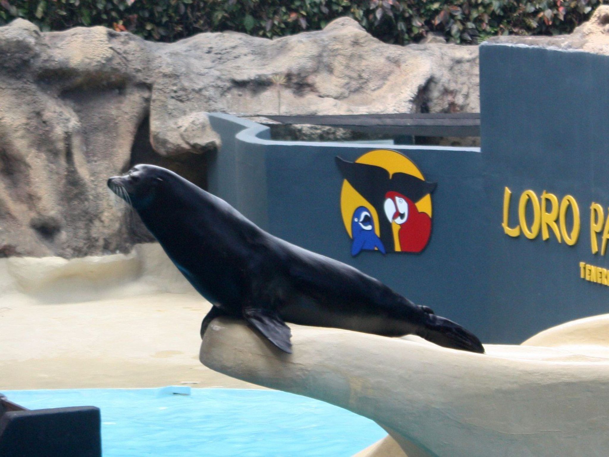 Studio mit beheiztem Pool-Image-tags.info