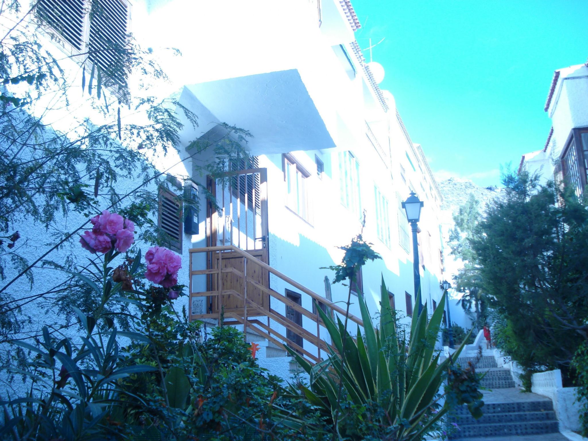 Wohnung Nicole los Gigantes-Dedans