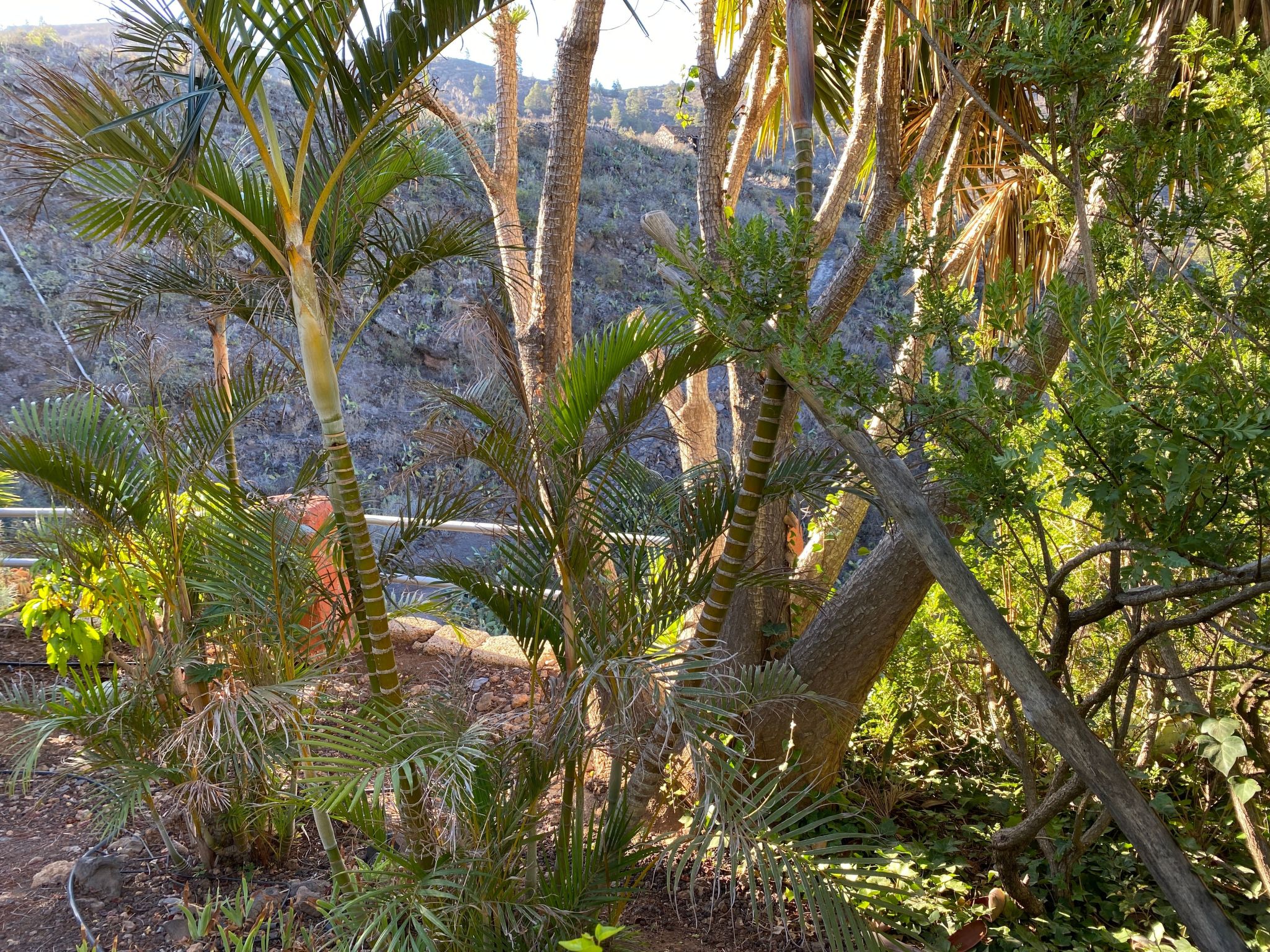 Casa Verde mit Whirlpool, Sauna und Garten-Dehors