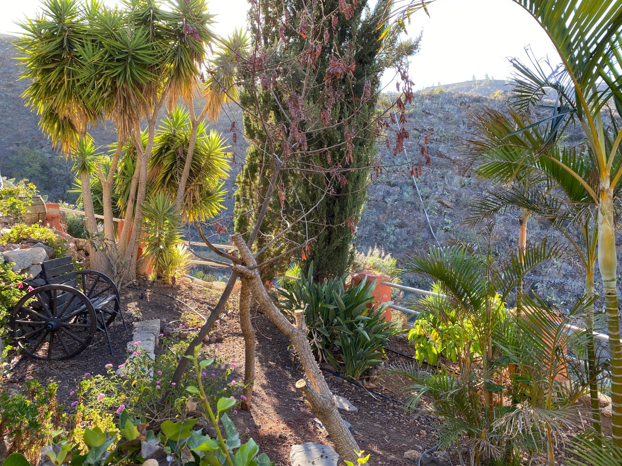 Casa Verde mit Whirlpool, Sauna und Garten-Dehors