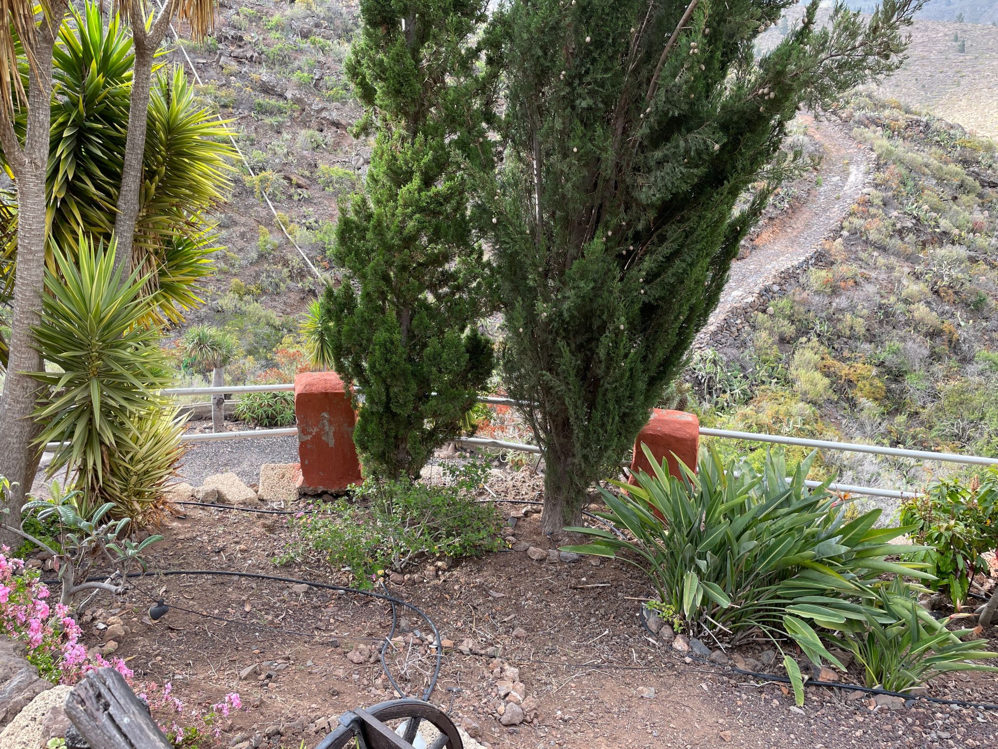 Casa Verde mit Whirlpool, Sauna und Garten-Dehors