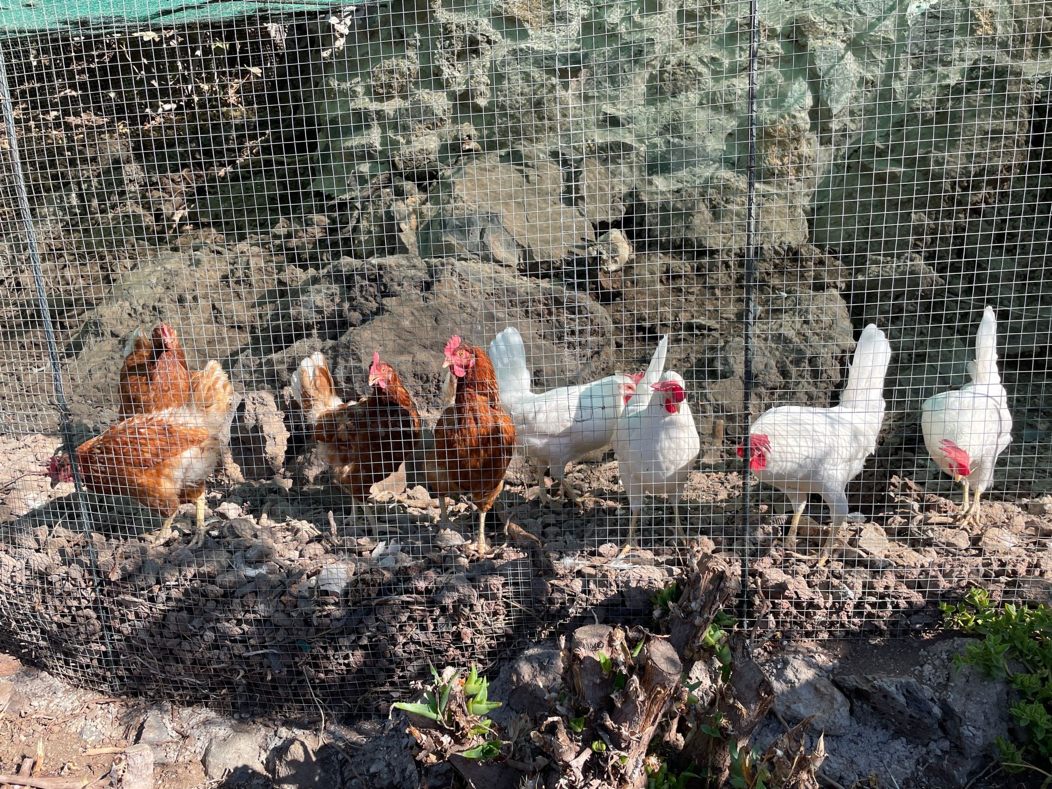 Casa Verde mit Whirlpool, Sauna und Garten-Dehors