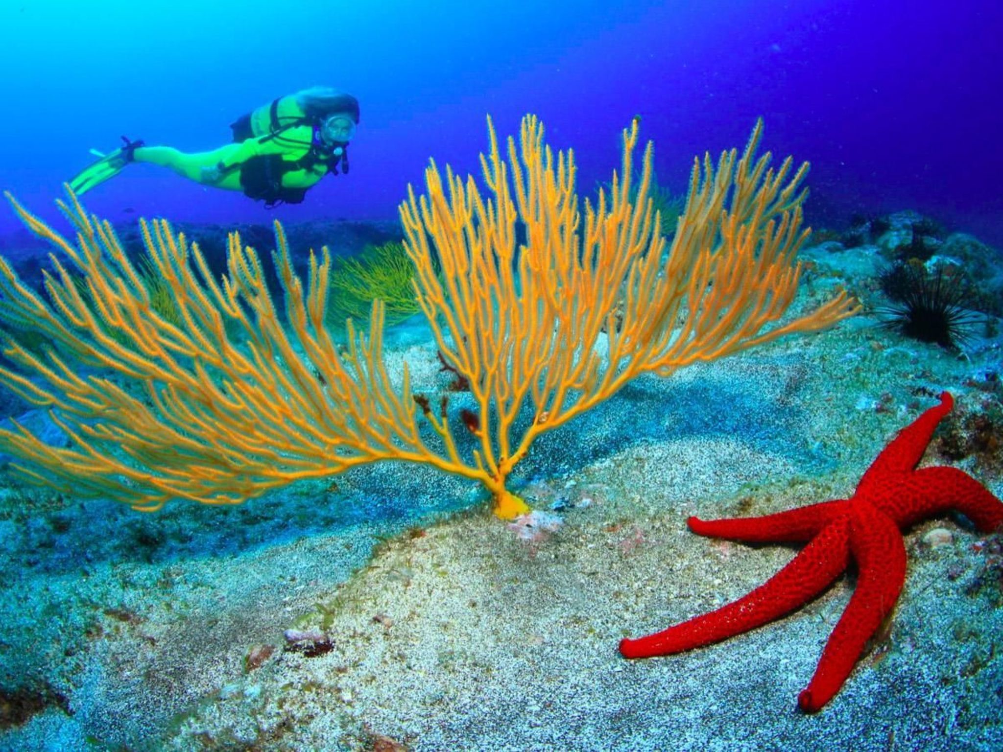 Wohnung "Faro de Sardina" mit Blick aufs Wasser-Binnen