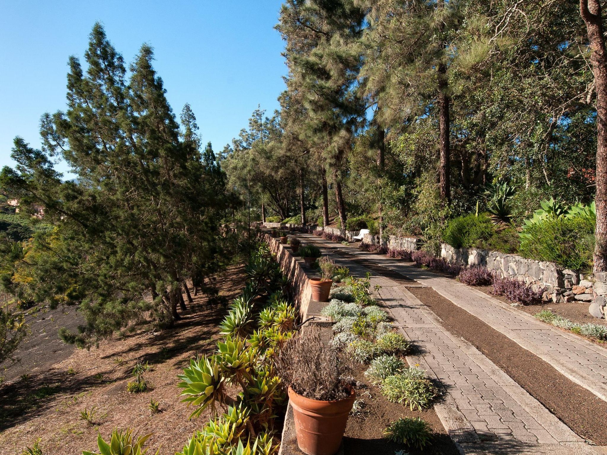 Photo of Villa in Bandama