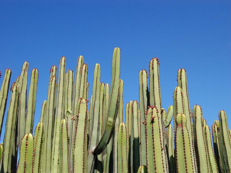 Photo of Salobre Golf Resort