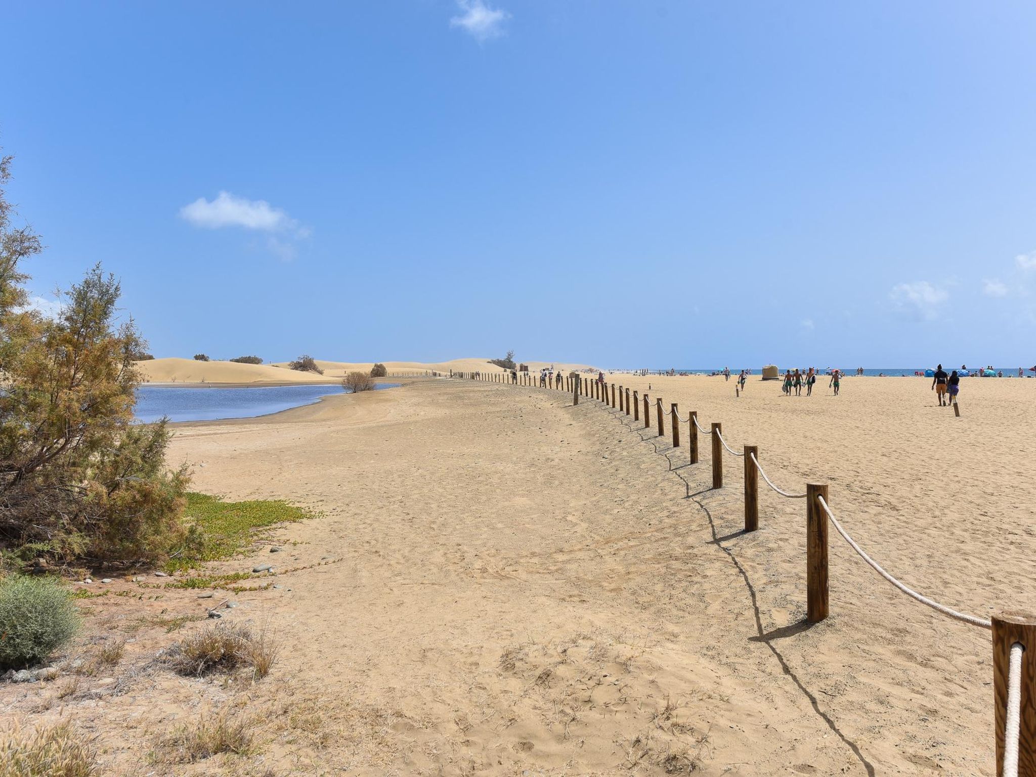 Photo of Charca CM18