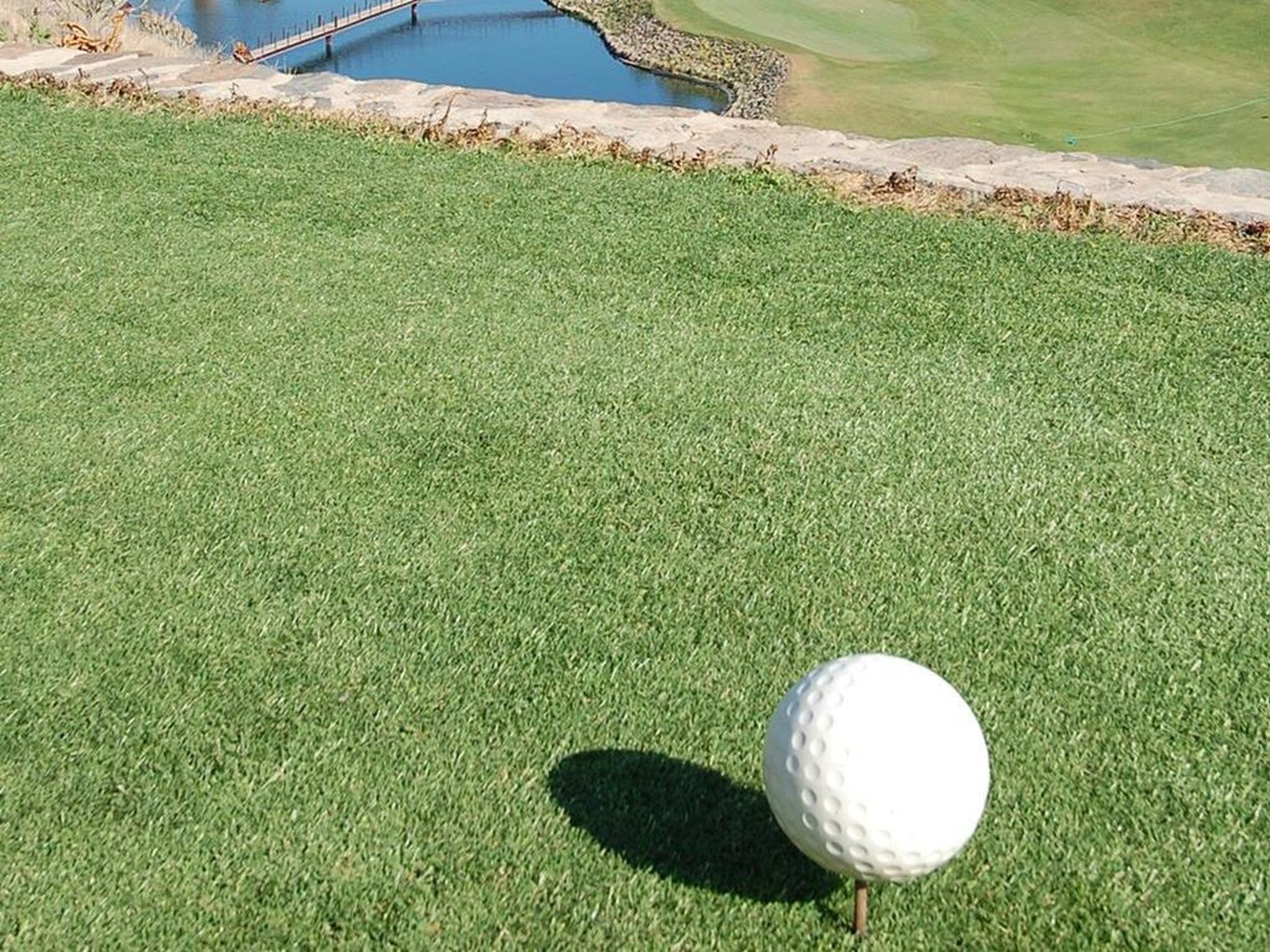 Photo of Tipo 3 dormitorios