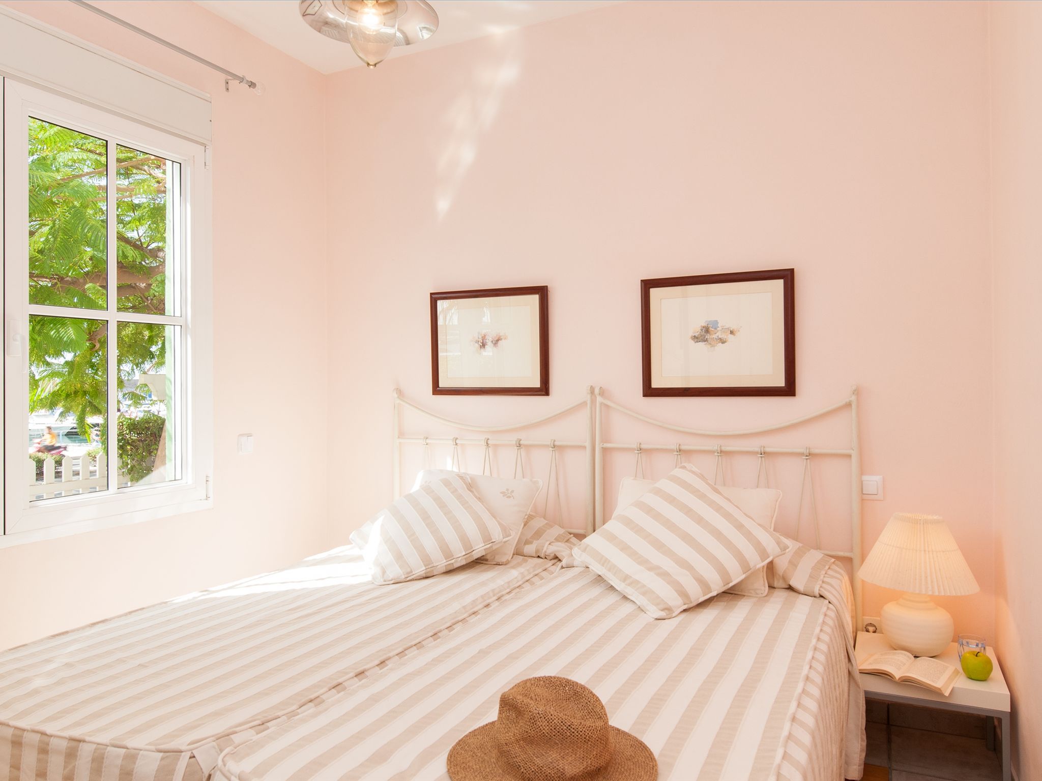 Photo of Pasito Blanco