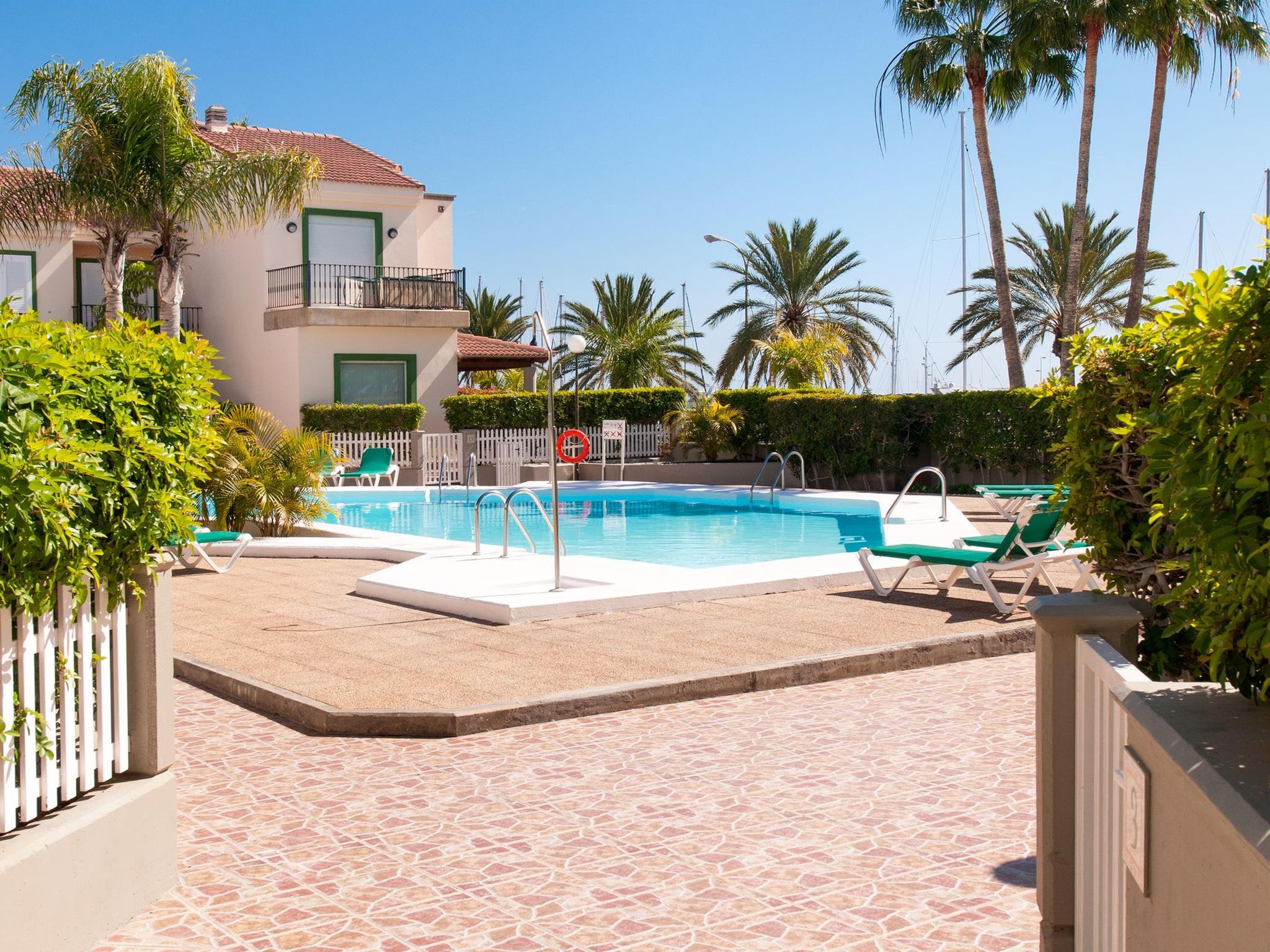 Photo of Pasito Blanco