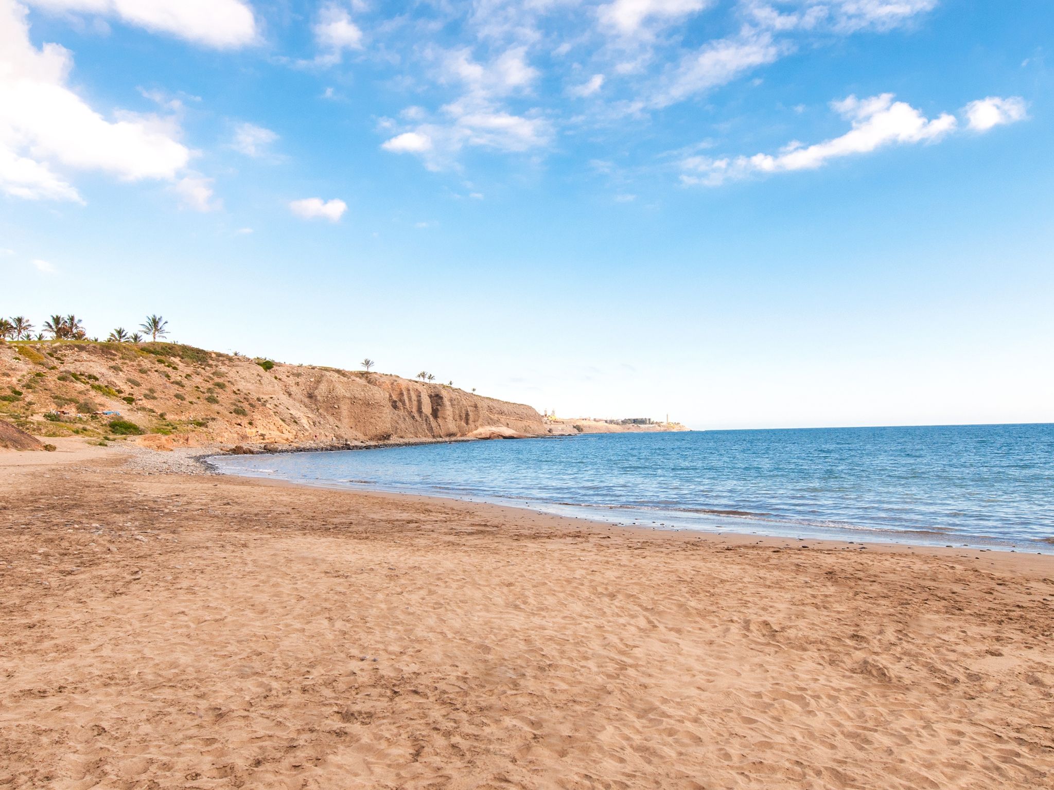 Photo of Pasito Blanco