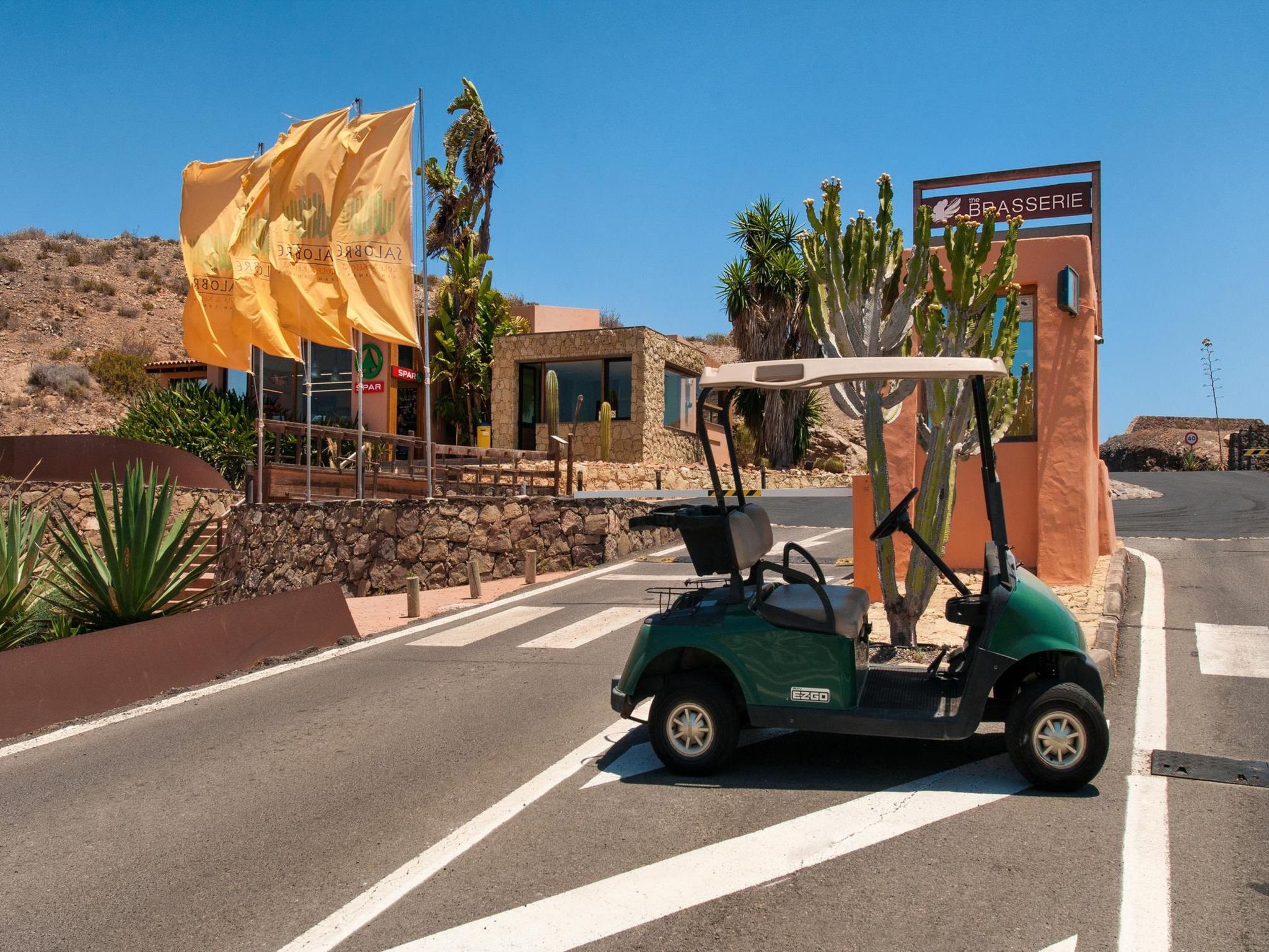 Photo of Tipo 3 Dormitorios