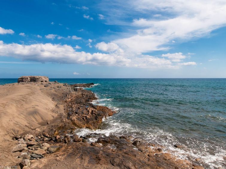 Photo of Papagayo San Agustin