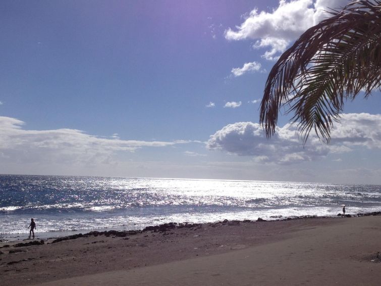 Photo of Papagayo San Agustin