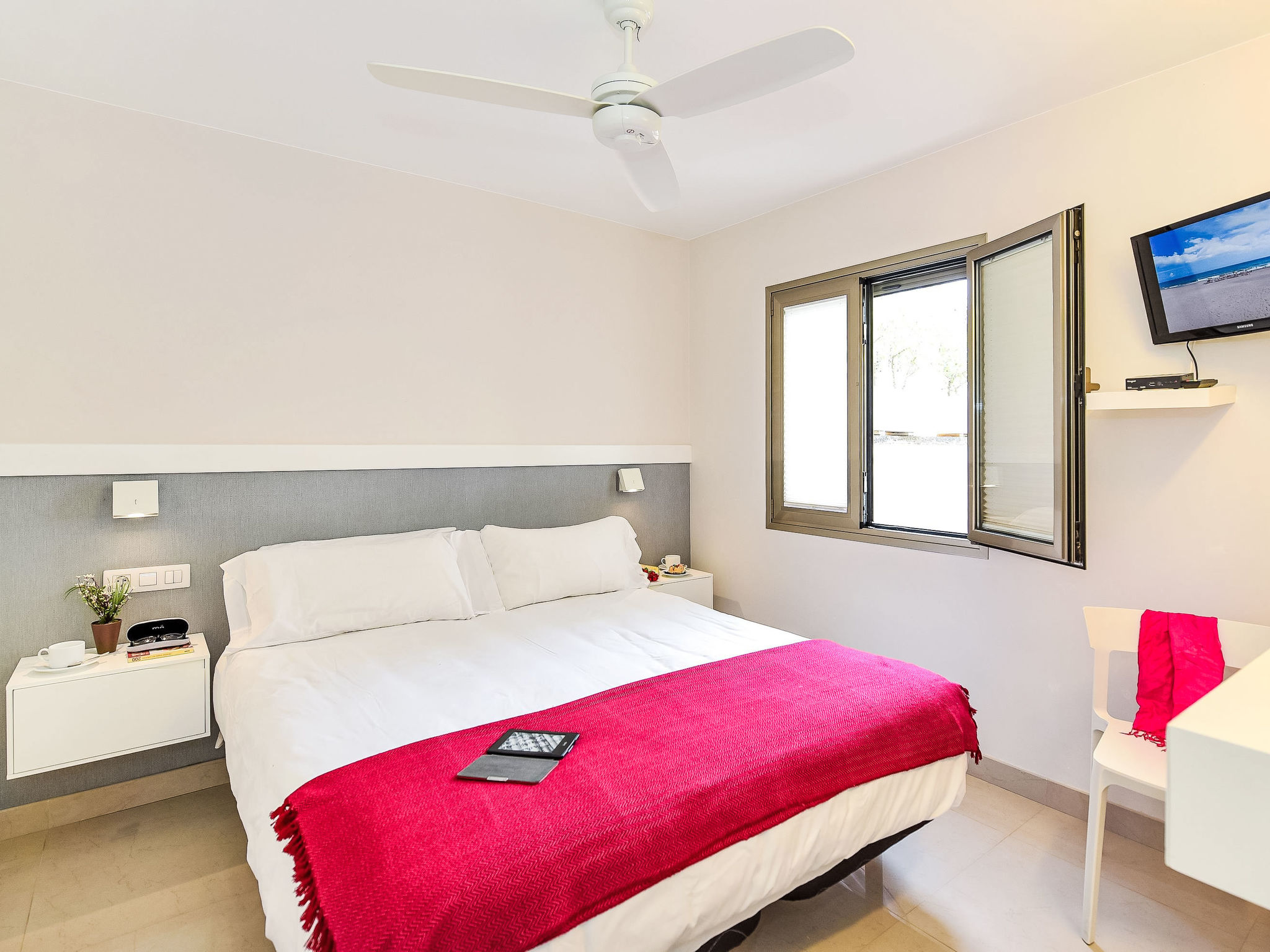 Photo of Papagayo San Agustin