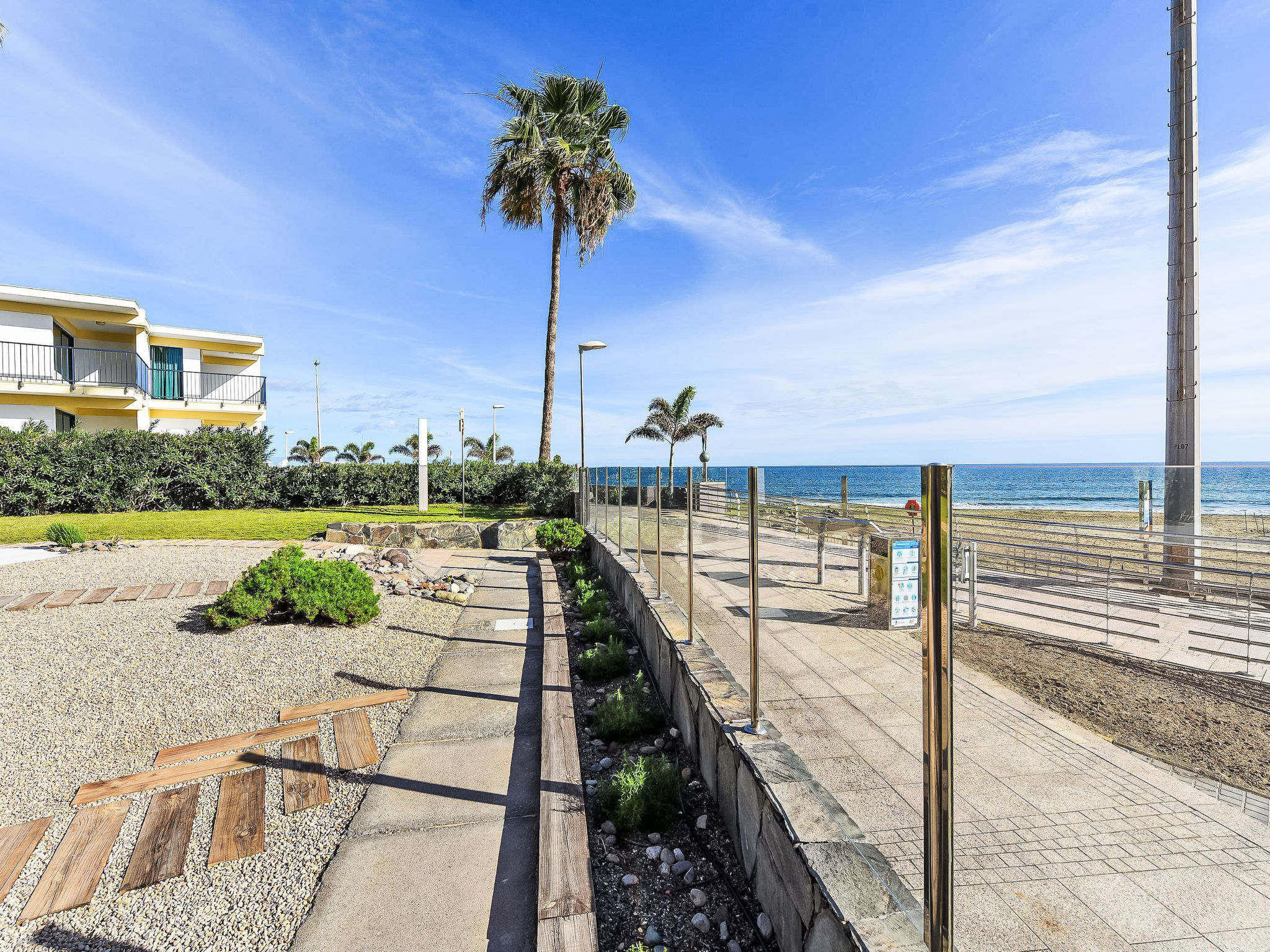 Photo of Papagayo San Agustin