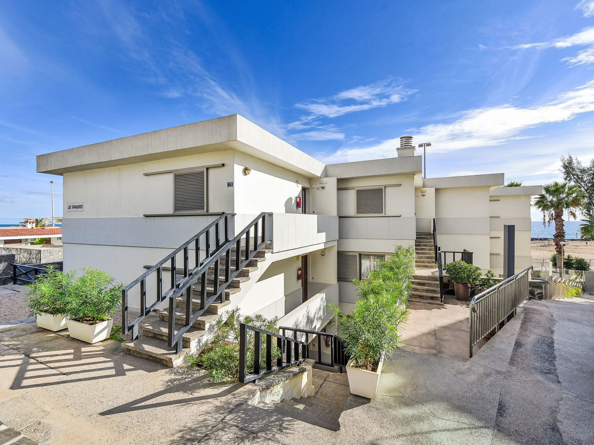 Photo of Papagayo San Agustin