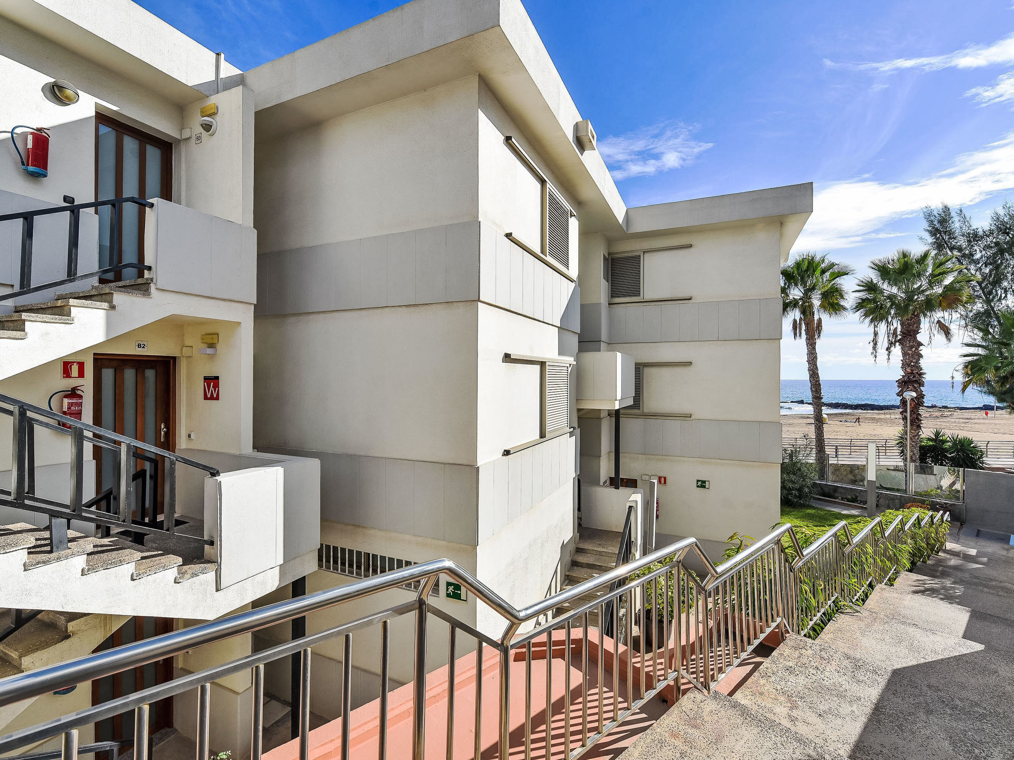 Photo of Papagayo San Agustin