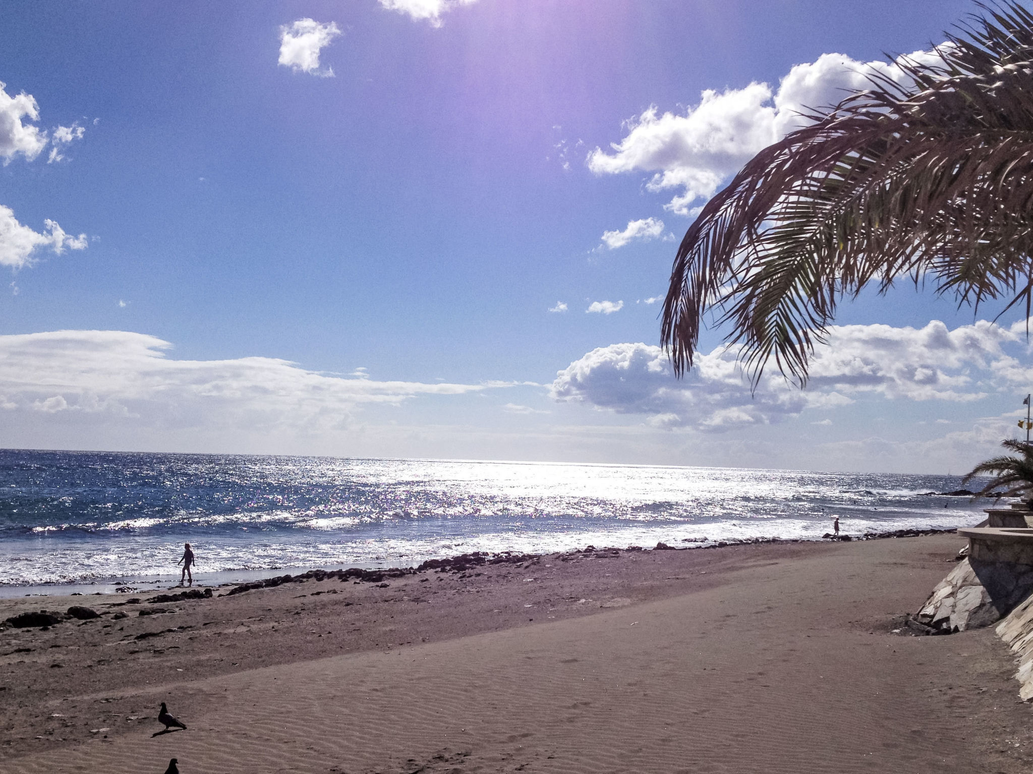 Photo of Papagayo San Agustin