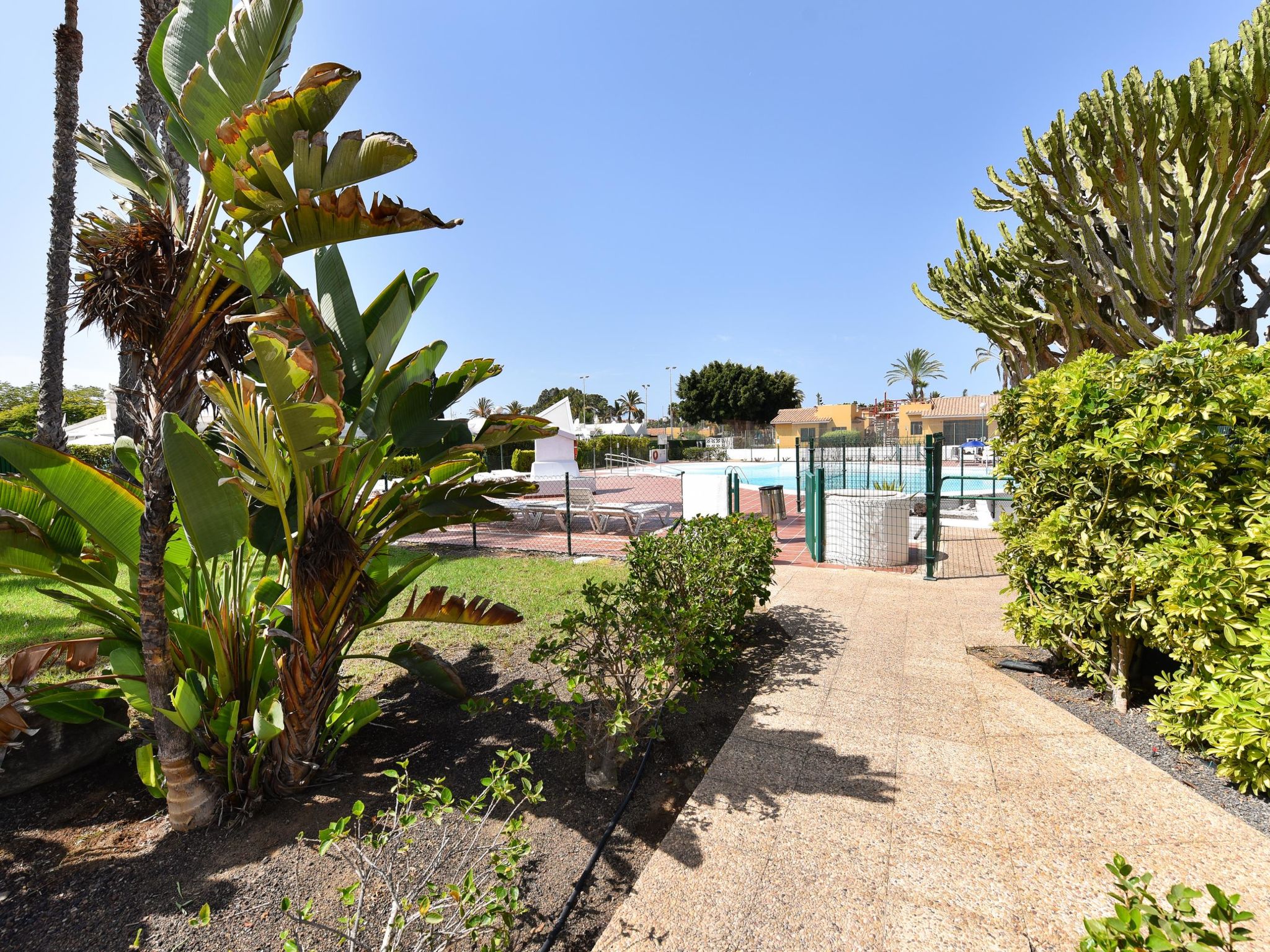 Photo of Bungalow Playa Flor 77