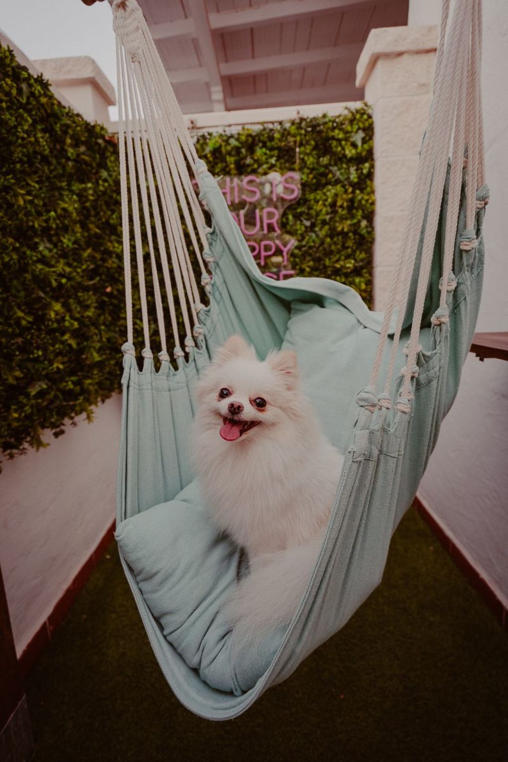 Holanda Tropic Deluxe-Binnen