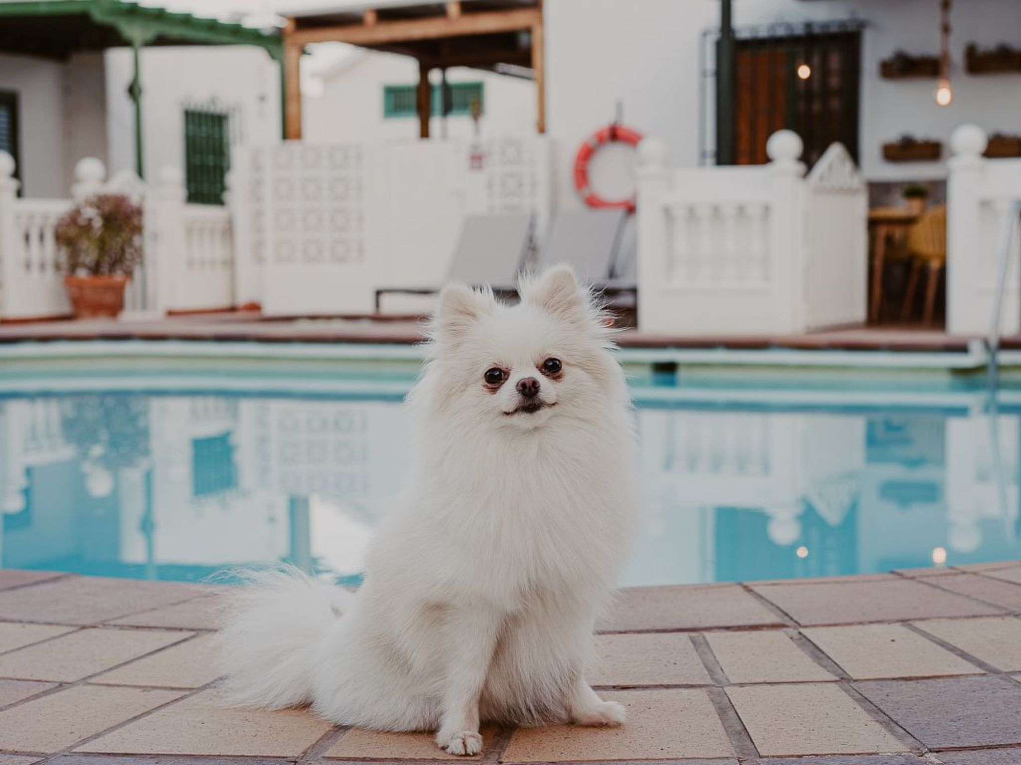 Ferienbungalow mit Grill, Garten und Terrasse-Inside