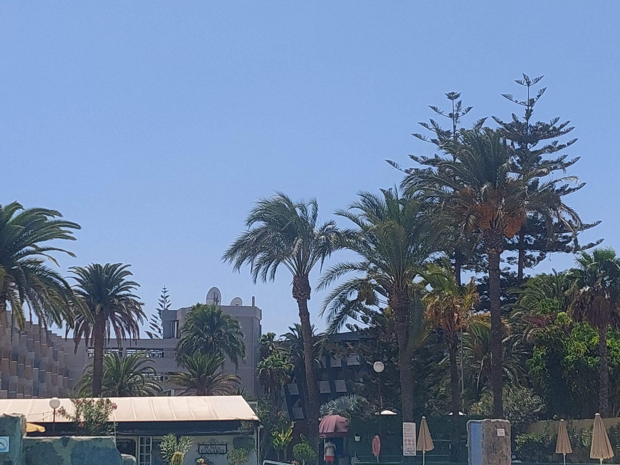 Photo of Wohnung "Agaete Parque"