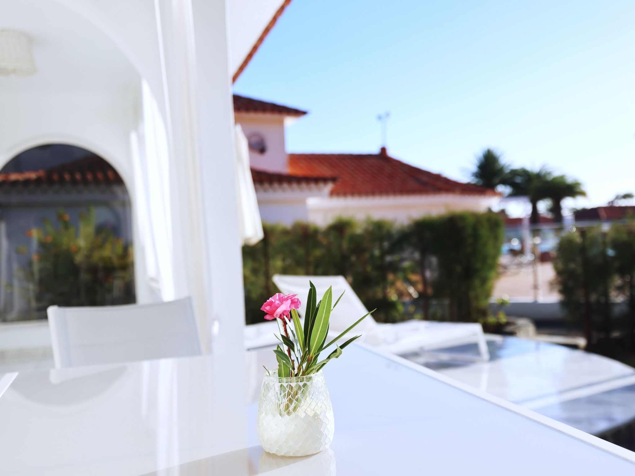 Sun Club Playa del Ingles Bungalows-Outside