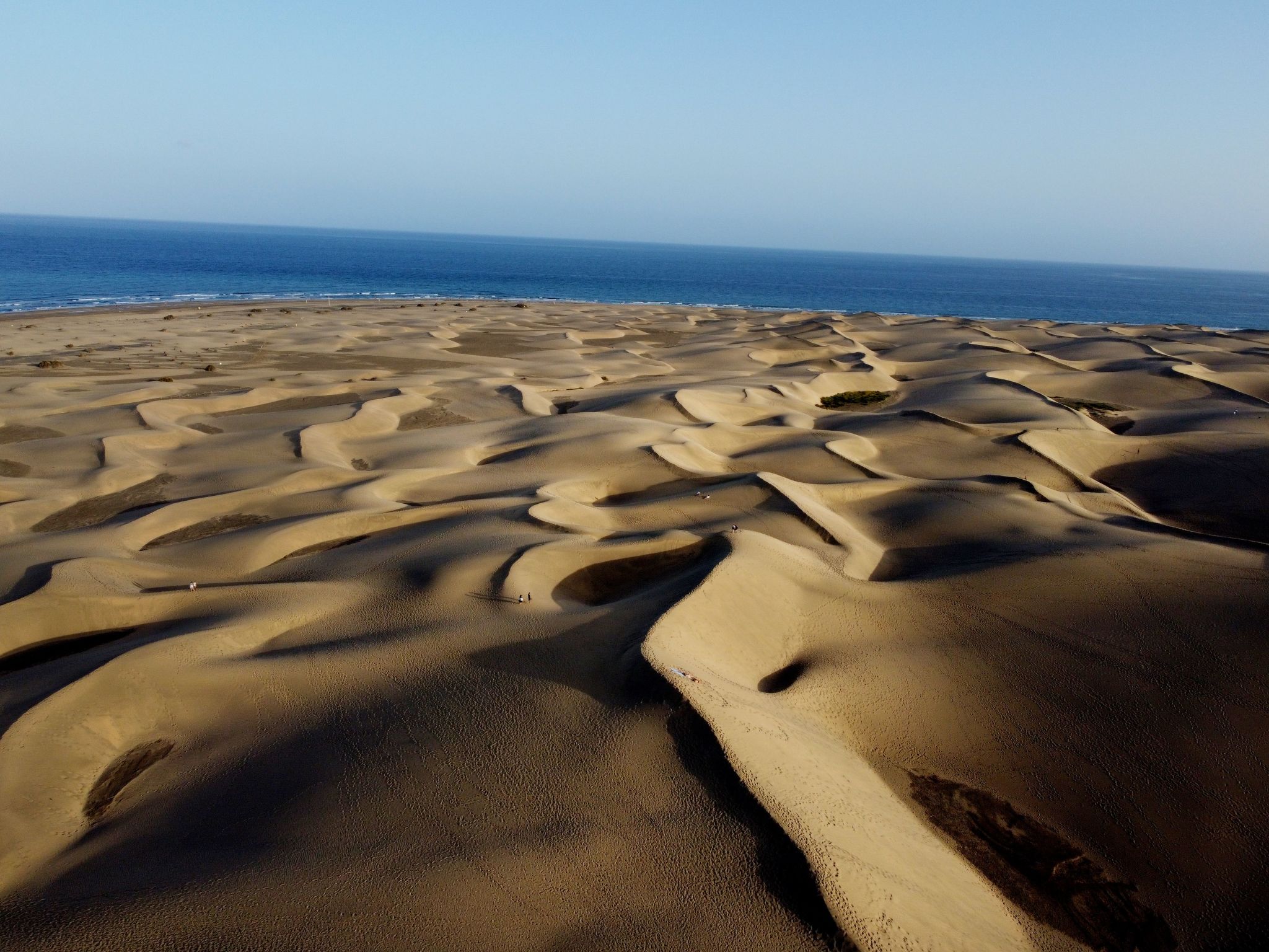 Sun Club Playa del Ingles Bungalows