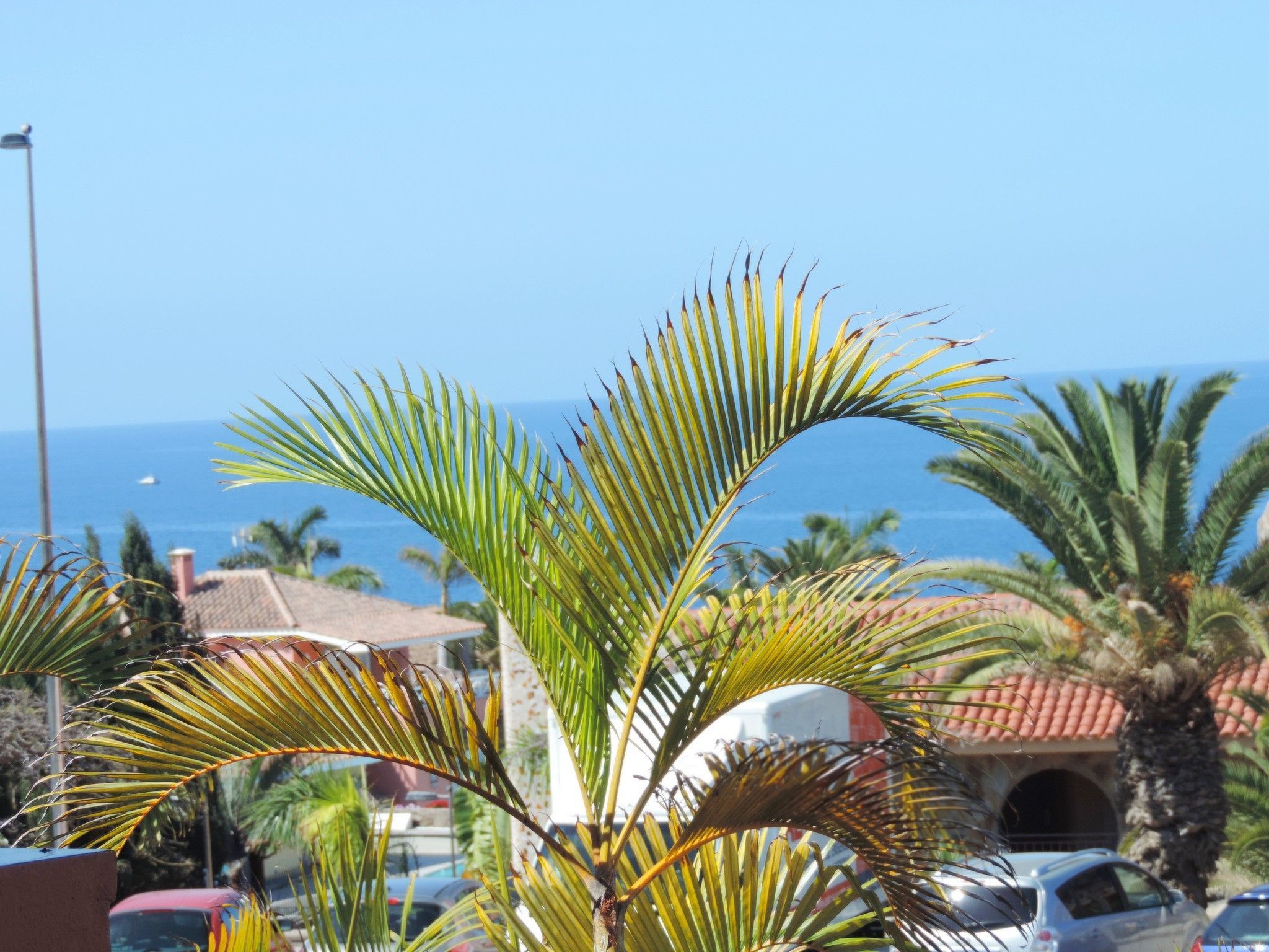 Wunderschönes Ferienhaus im Süden von Gran Canaria mit Garten und gemeinschaftl-Image-tags.info