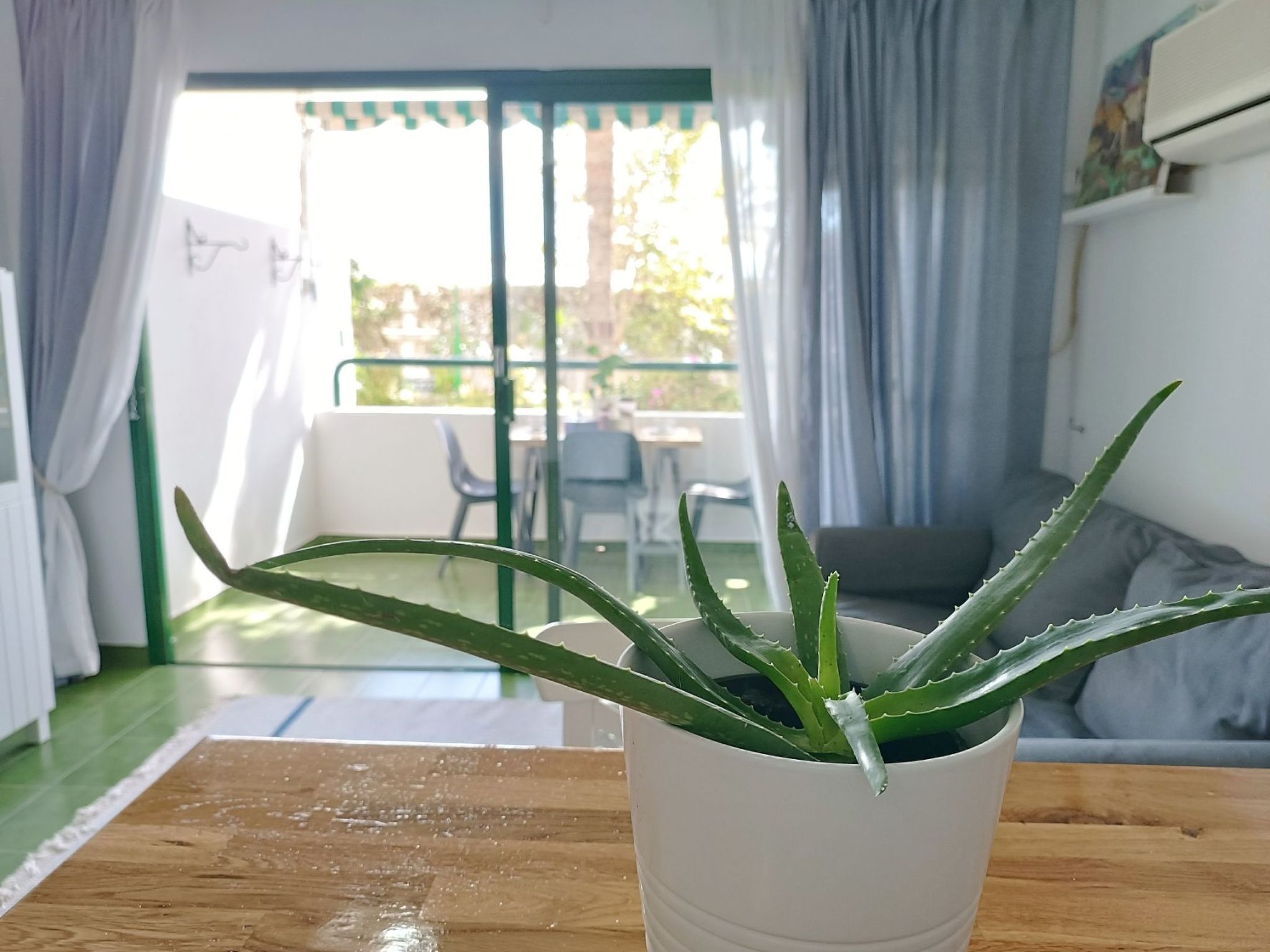 Photo of "Surycan 133" mit Terrasse