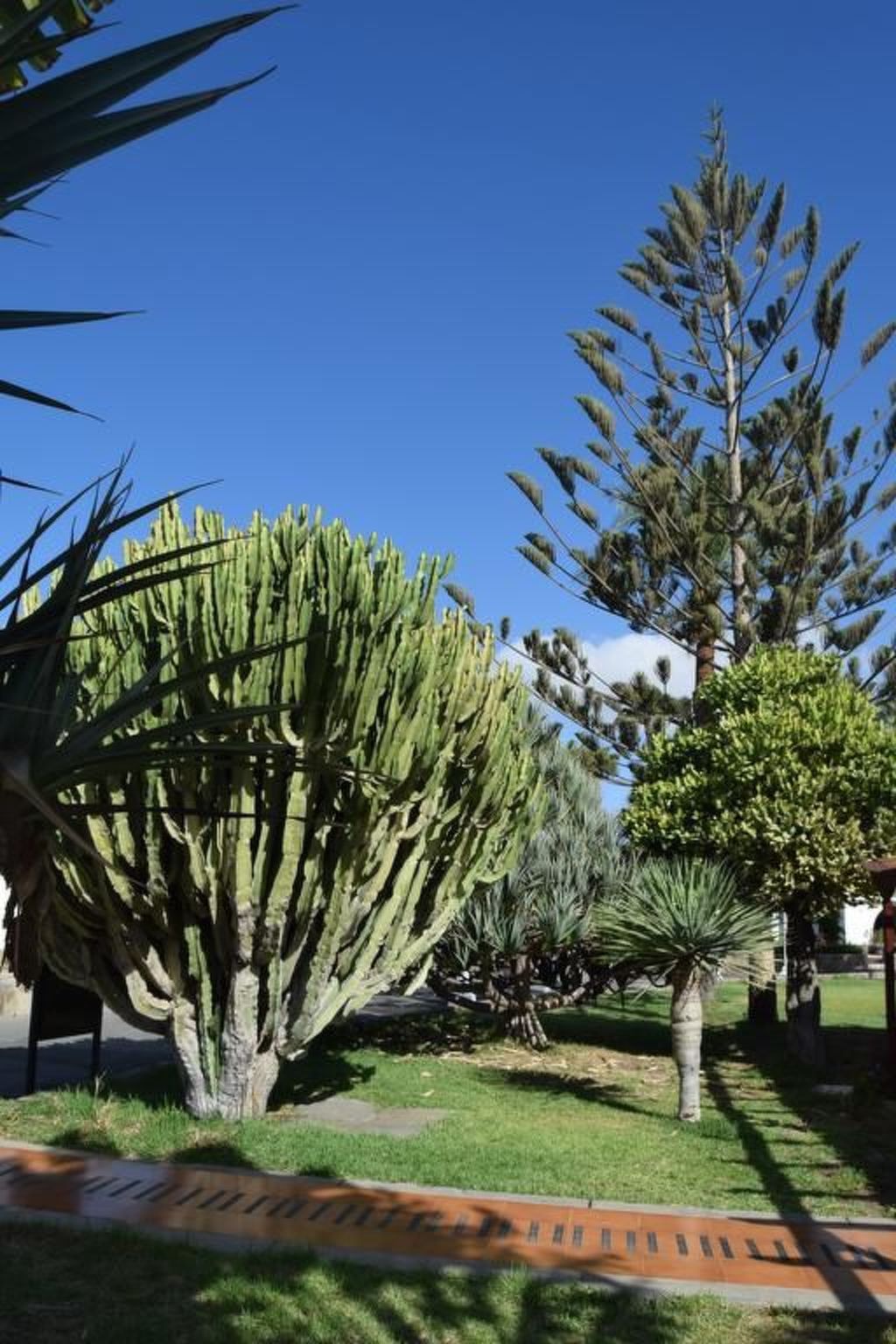 Photo of für 4 Personen ca. 40 m&sup2; in Maspalomas, Gran Canaria (Südküste Gran Canari