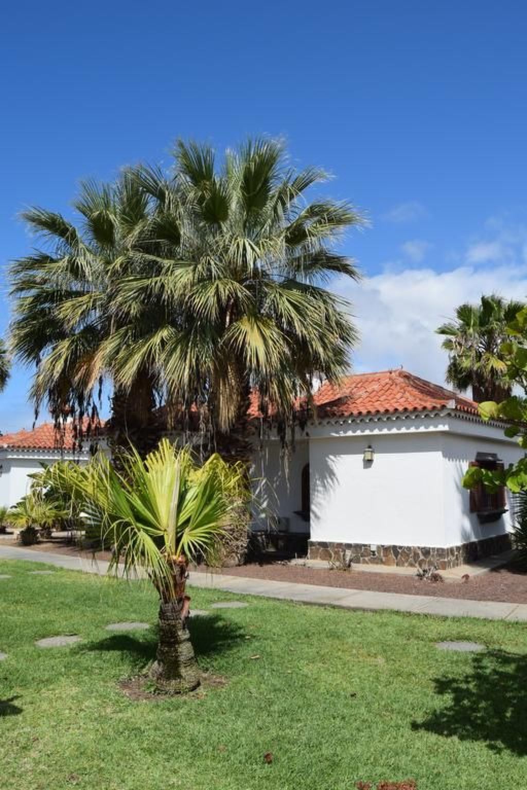 Photo of für 4 Personen ca. 40 m&sup2; in Maspalomas, Gran Canaria (Südküste Gran Canari
