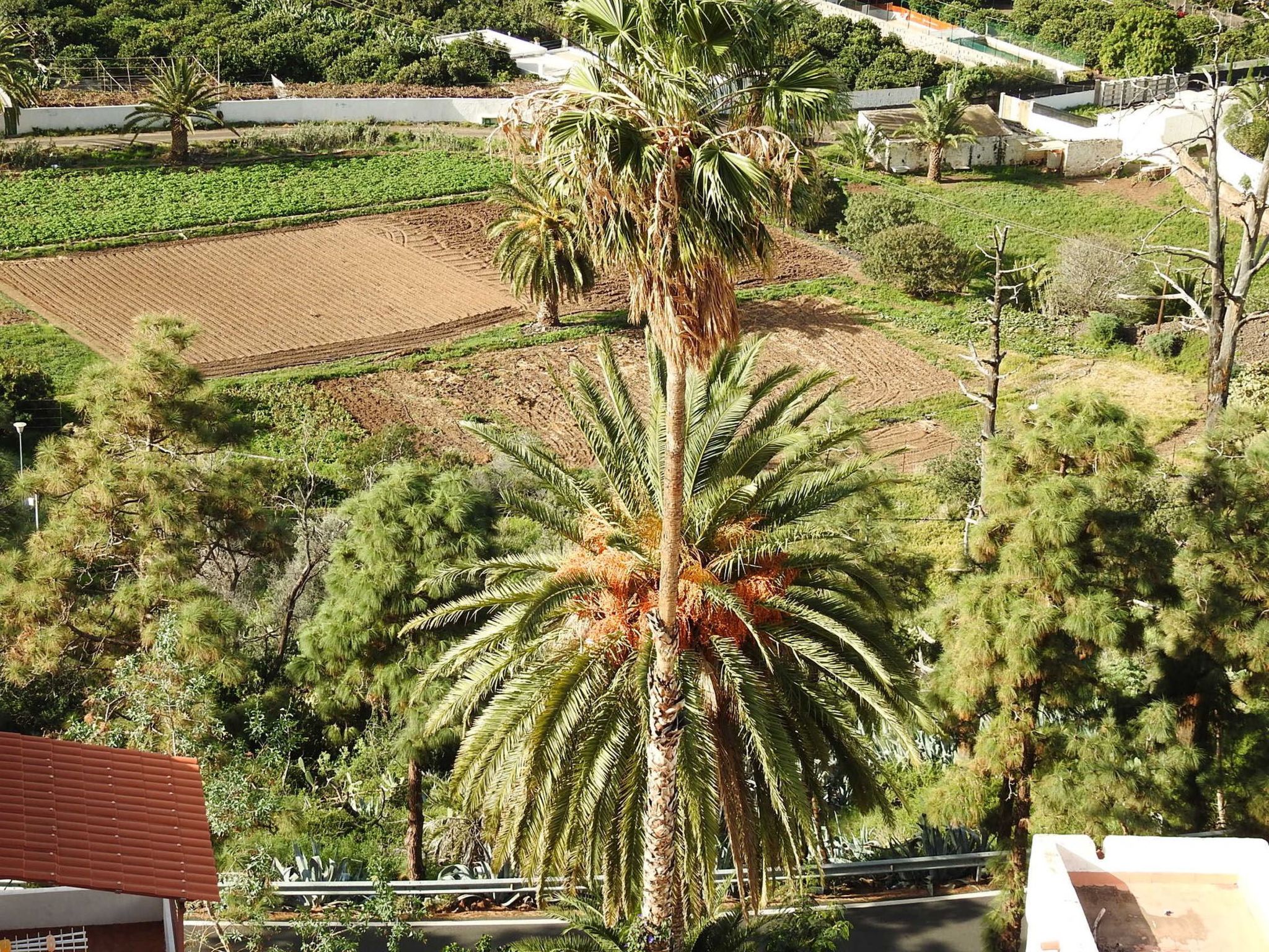 Haus mit beheiztem Schwimmbad, Berg- und Meerblick-Binnen