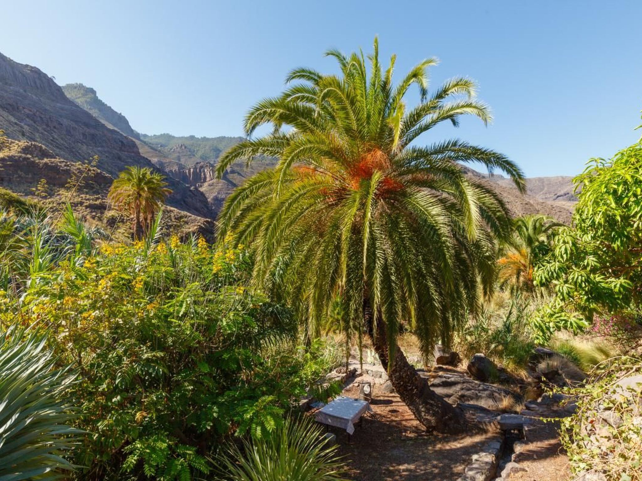 In El Risco mit Garten, Terrasse und Grill-Image-tags.info