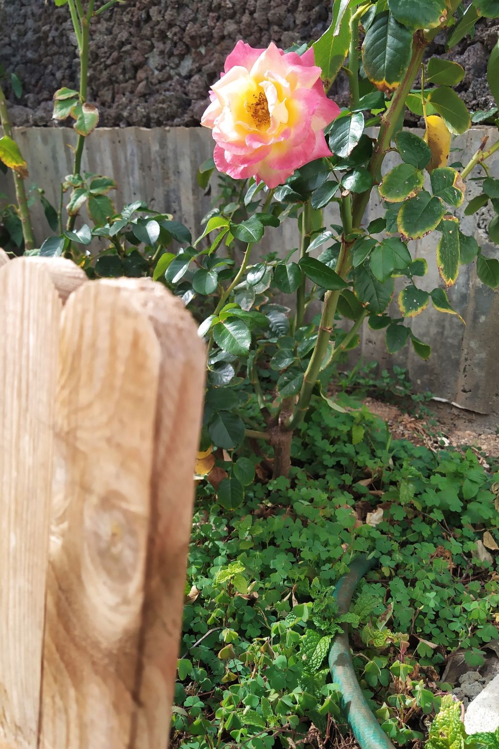 Edara Home - Haus mit privatem Garten-Binnen