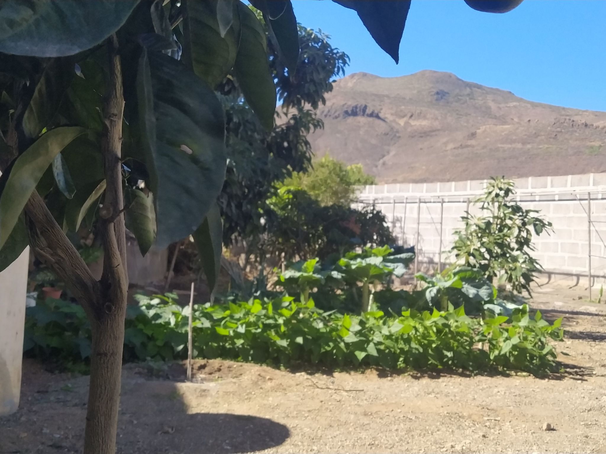 Edara Home - Haus mit privatem Garten-Binnen