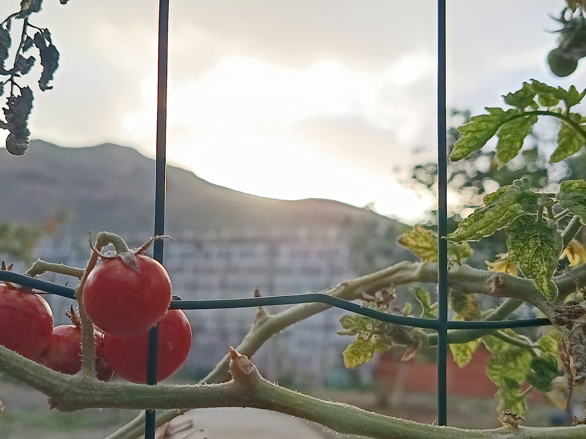 Edara Home - Haus mit privatem Garten-Binnen