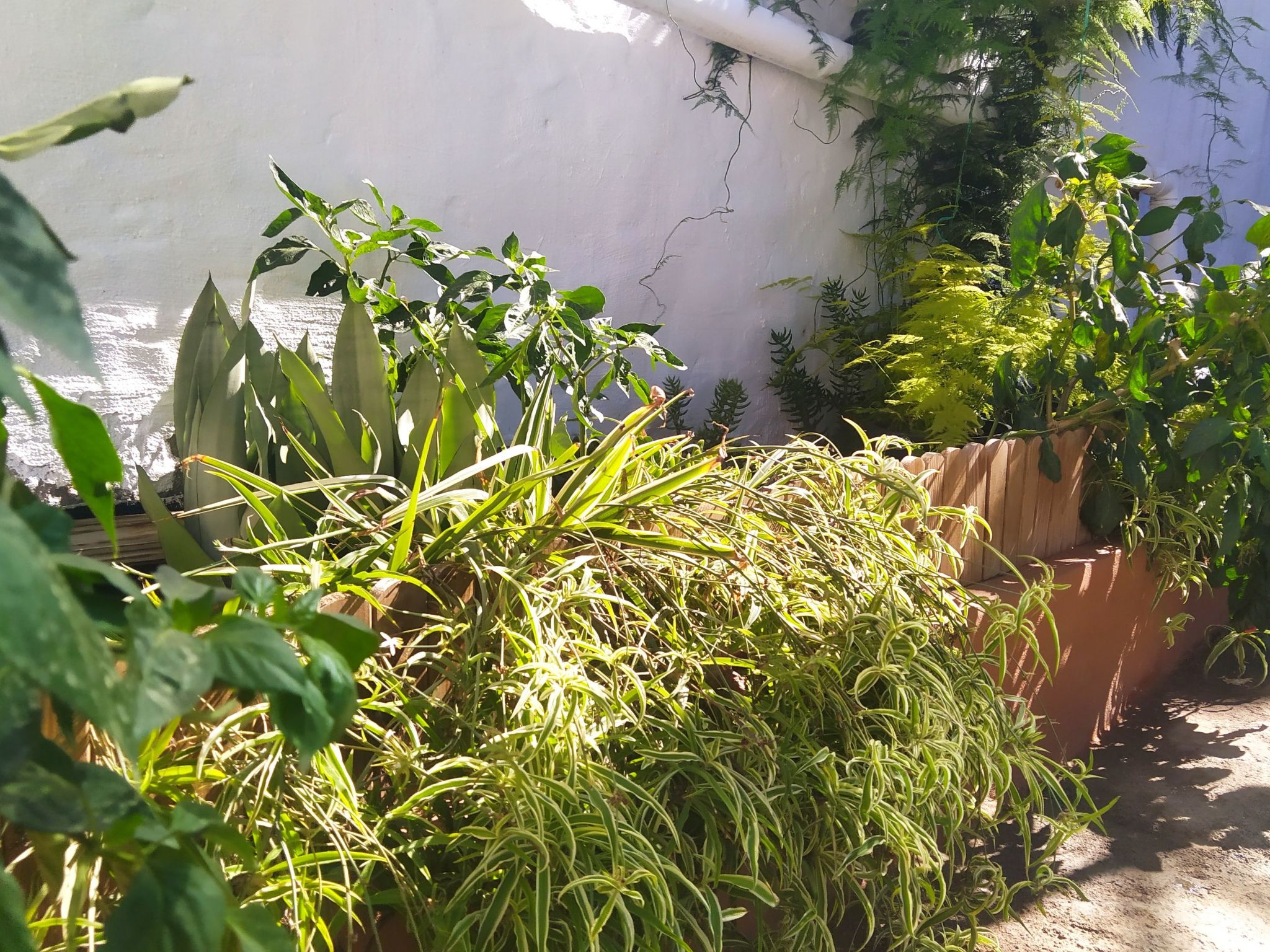 Edara Home - Haus mit privatem Garten-Binnen