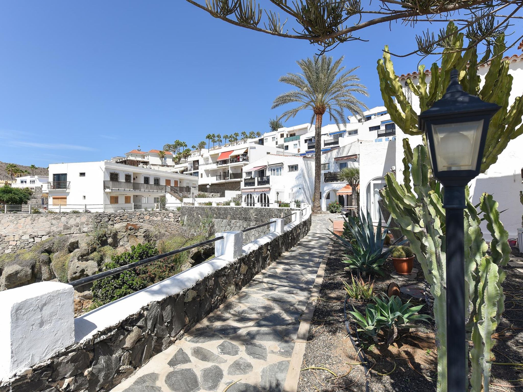 Photo of Los Canarios 630 - Adults Only