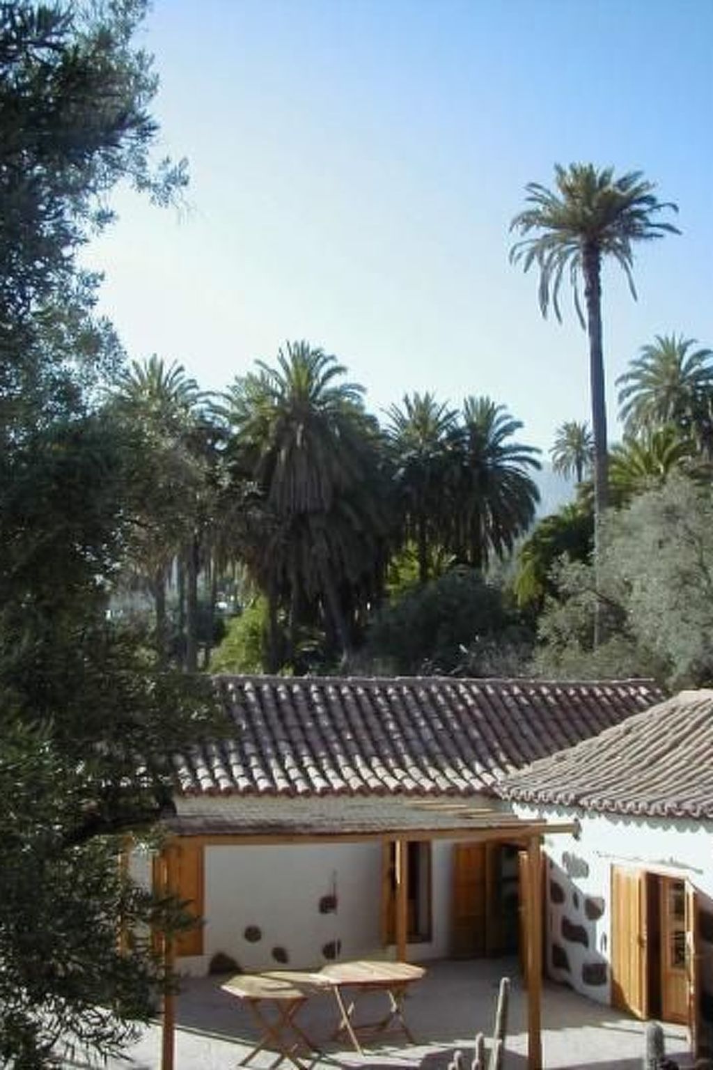 Schönes Steinhaus El Palmeral del Valle - Image 2