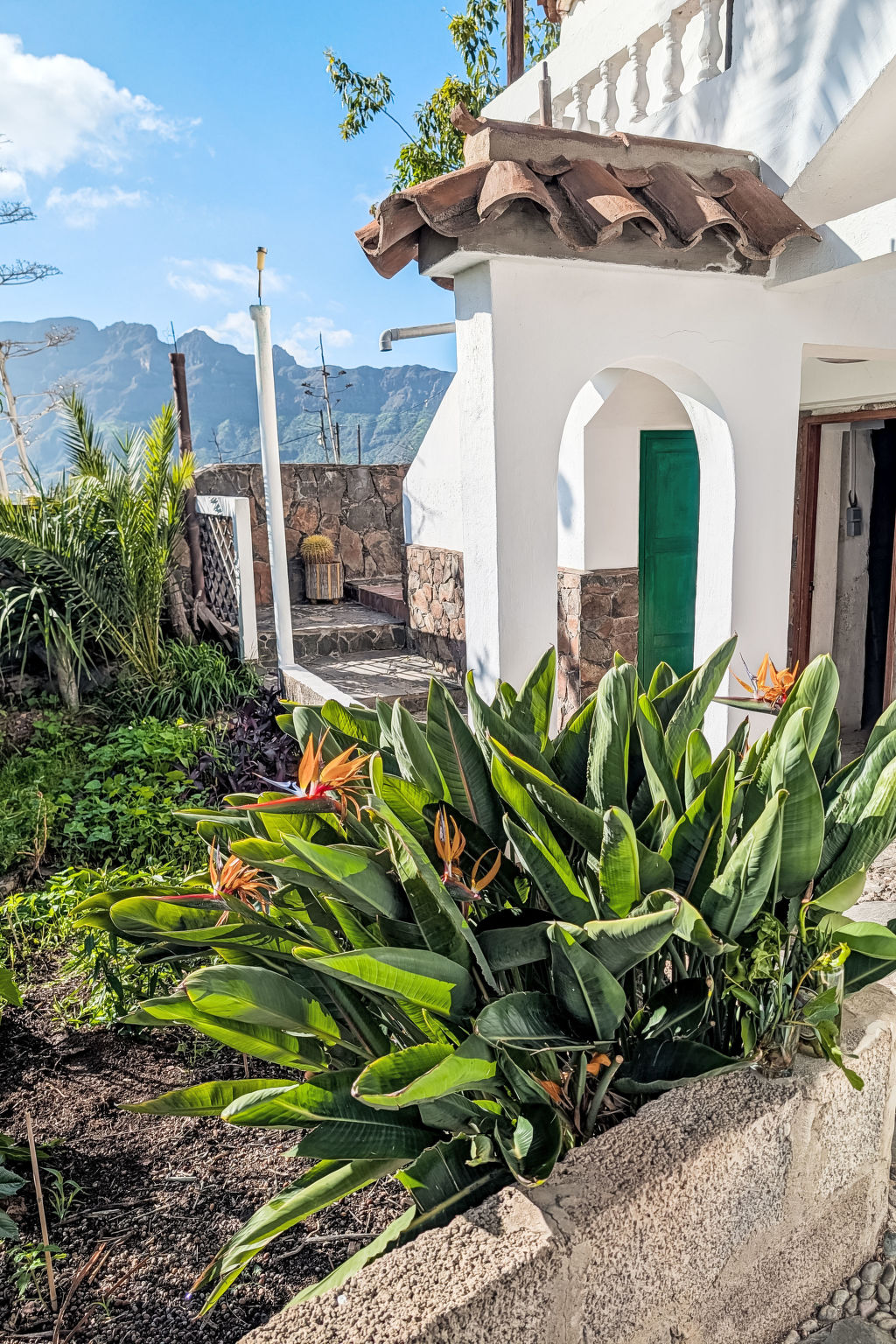 Finca Luz de Palmera - Outside