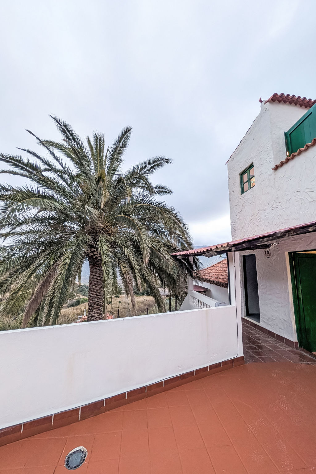 Finca Luz de Palmera - Outside