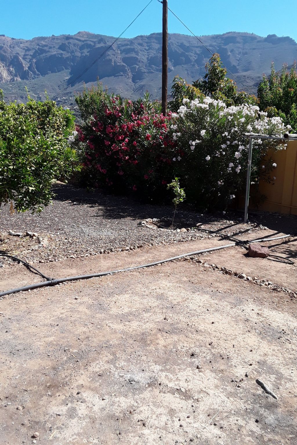 Photo of "La Almendra" mit Terrasse