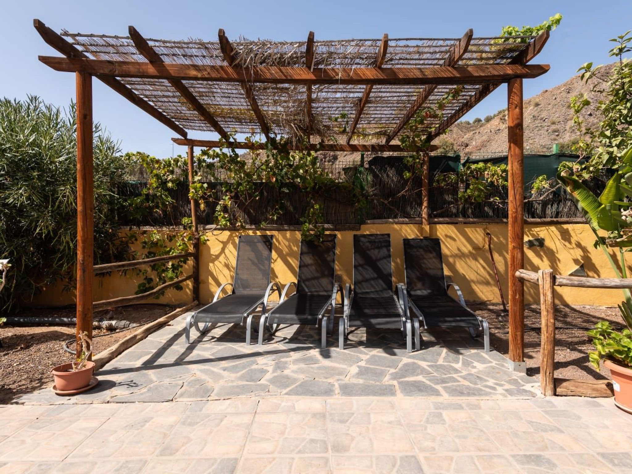 Photo of "La Almendra" mit Terrasse