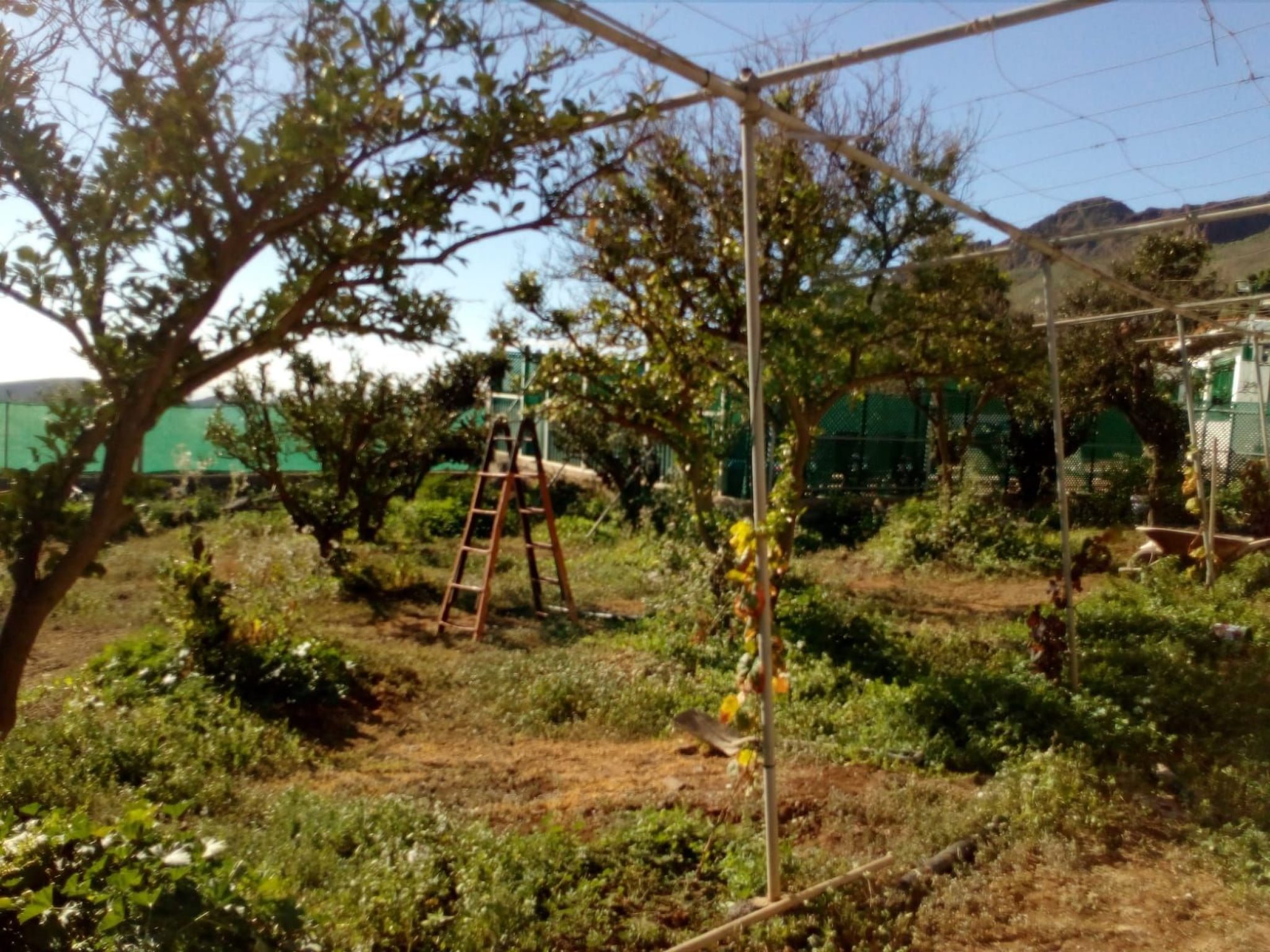 Mit privatem Pool-Image-tags.info