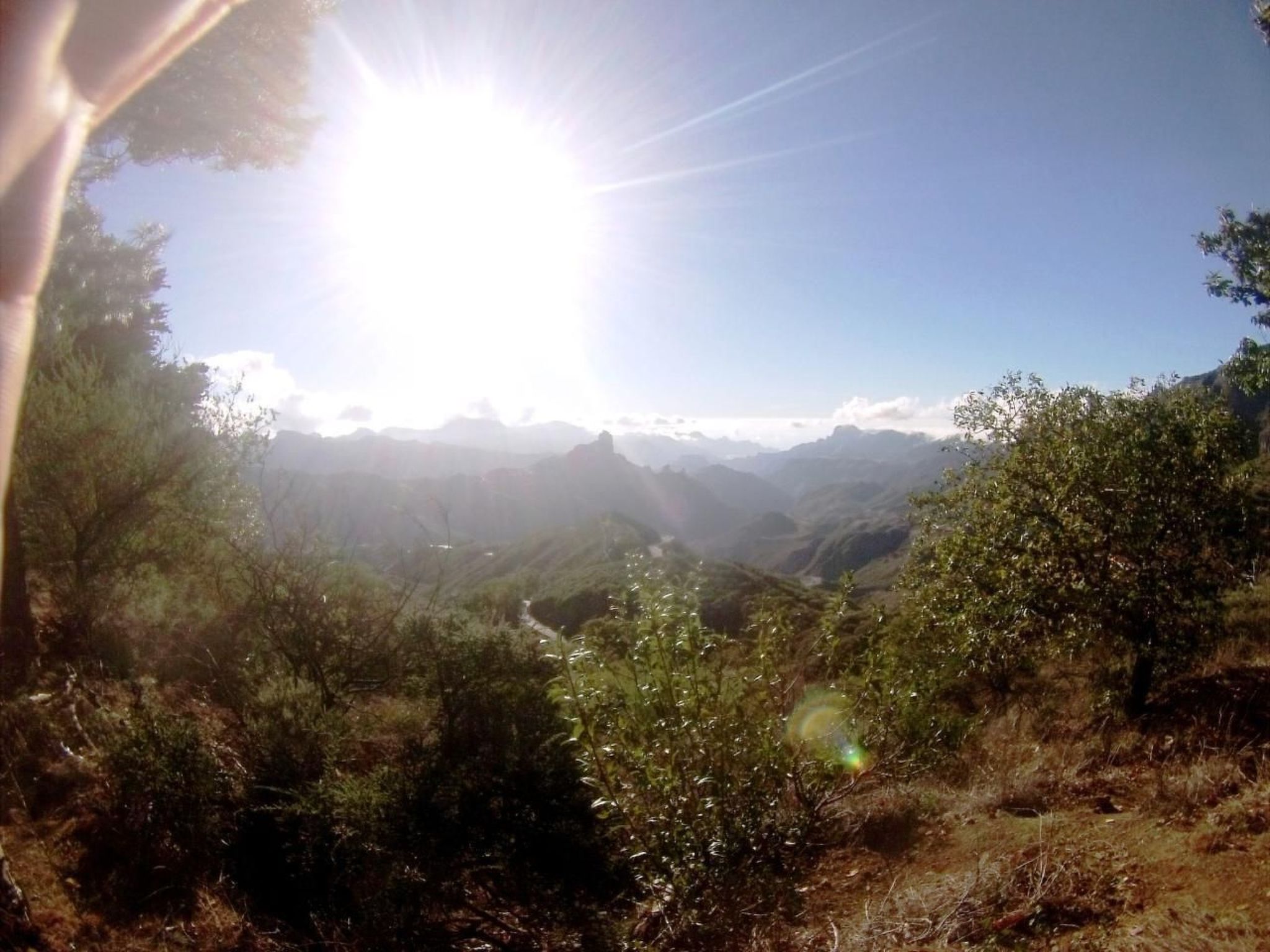 Landhaus Pepita la de las flores-Binnen