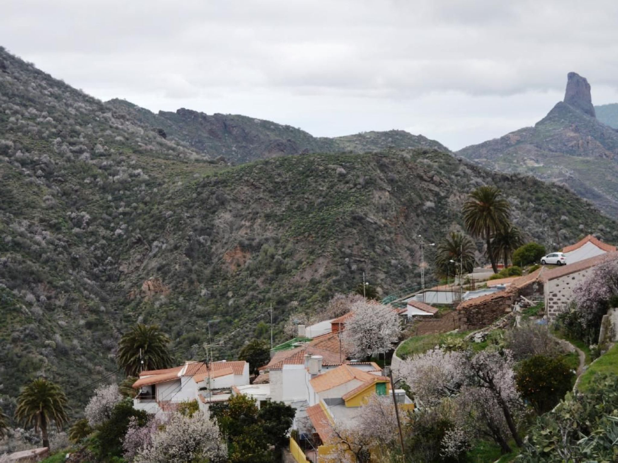 Landhaus Pepita la de las flores-Binnen