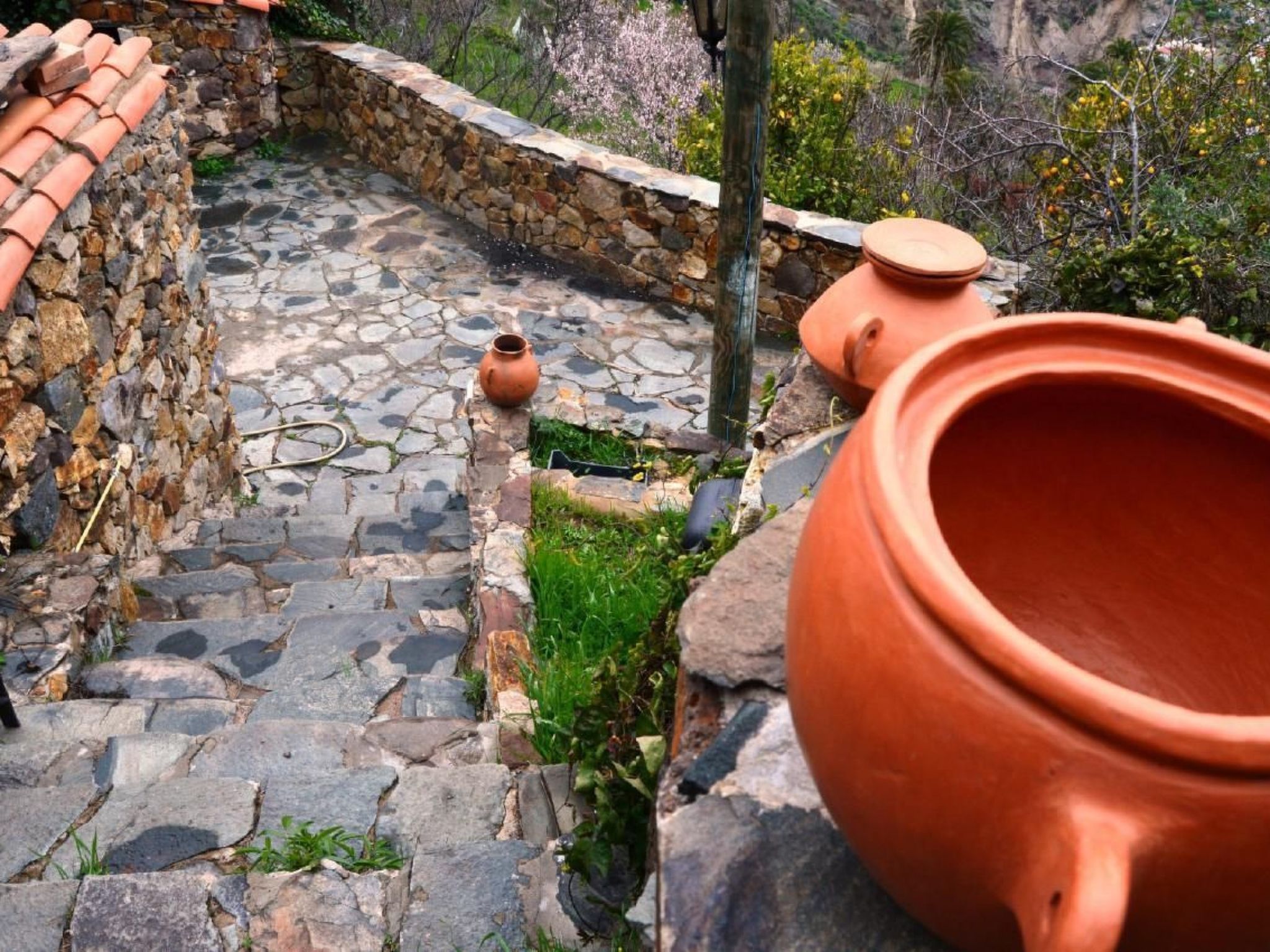 Landhaus Pepita la de las flores-Binnen